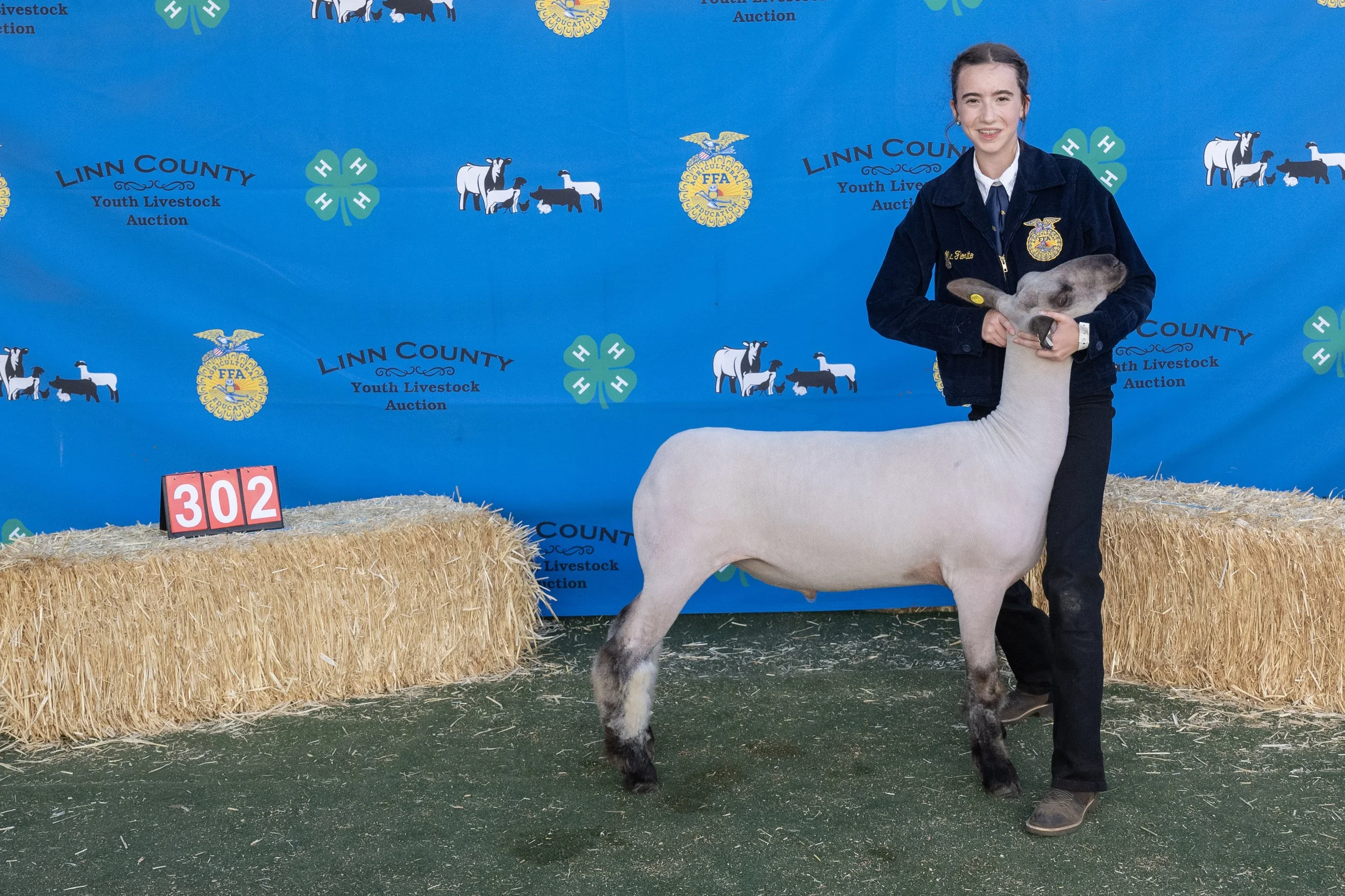 Sheep302 (1 of 1).JPG