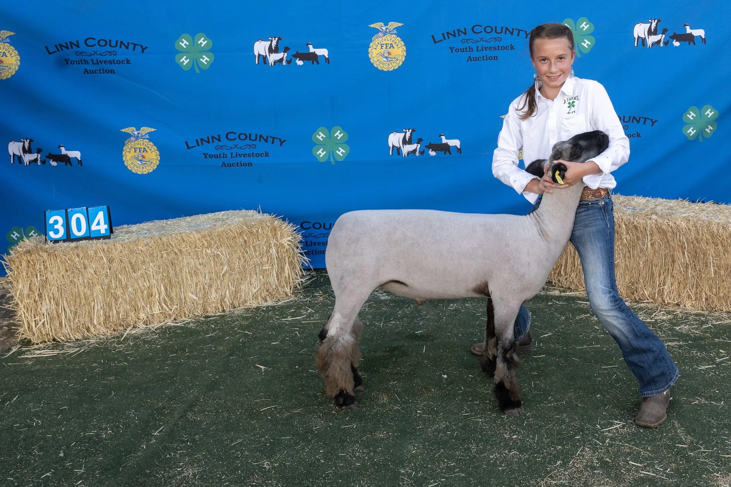 Sheep304 (1 of 1).JPG