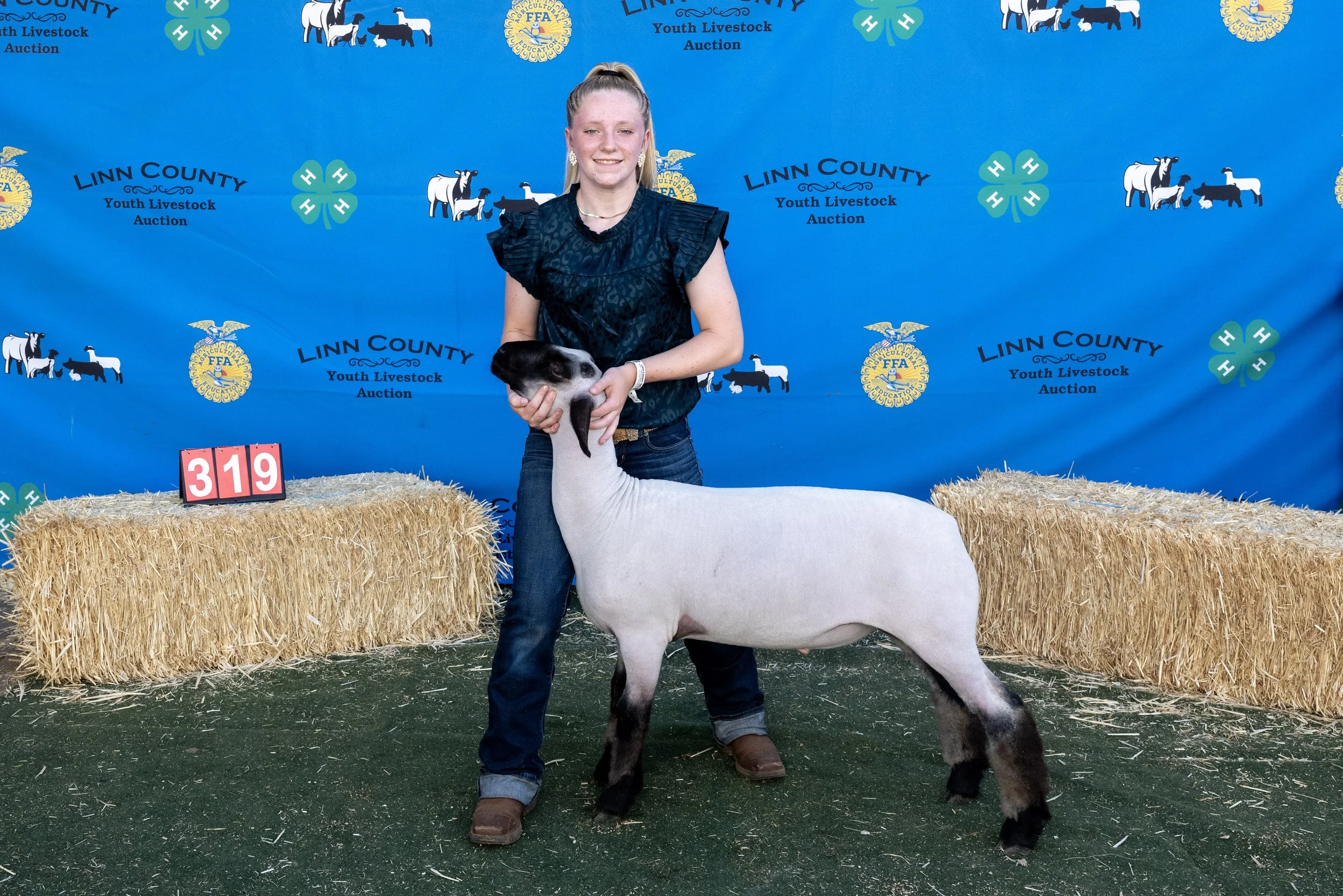 Sheep319 (1 of 1).JPG