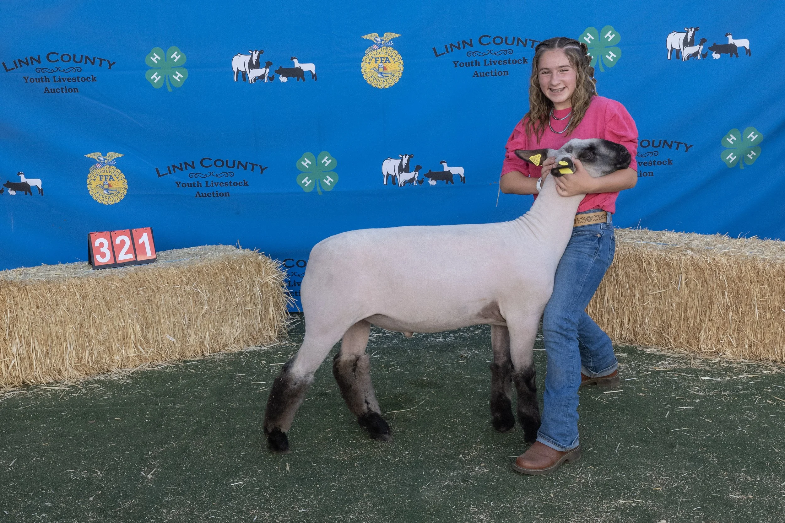 Sheep321 (1 of 1).JPG