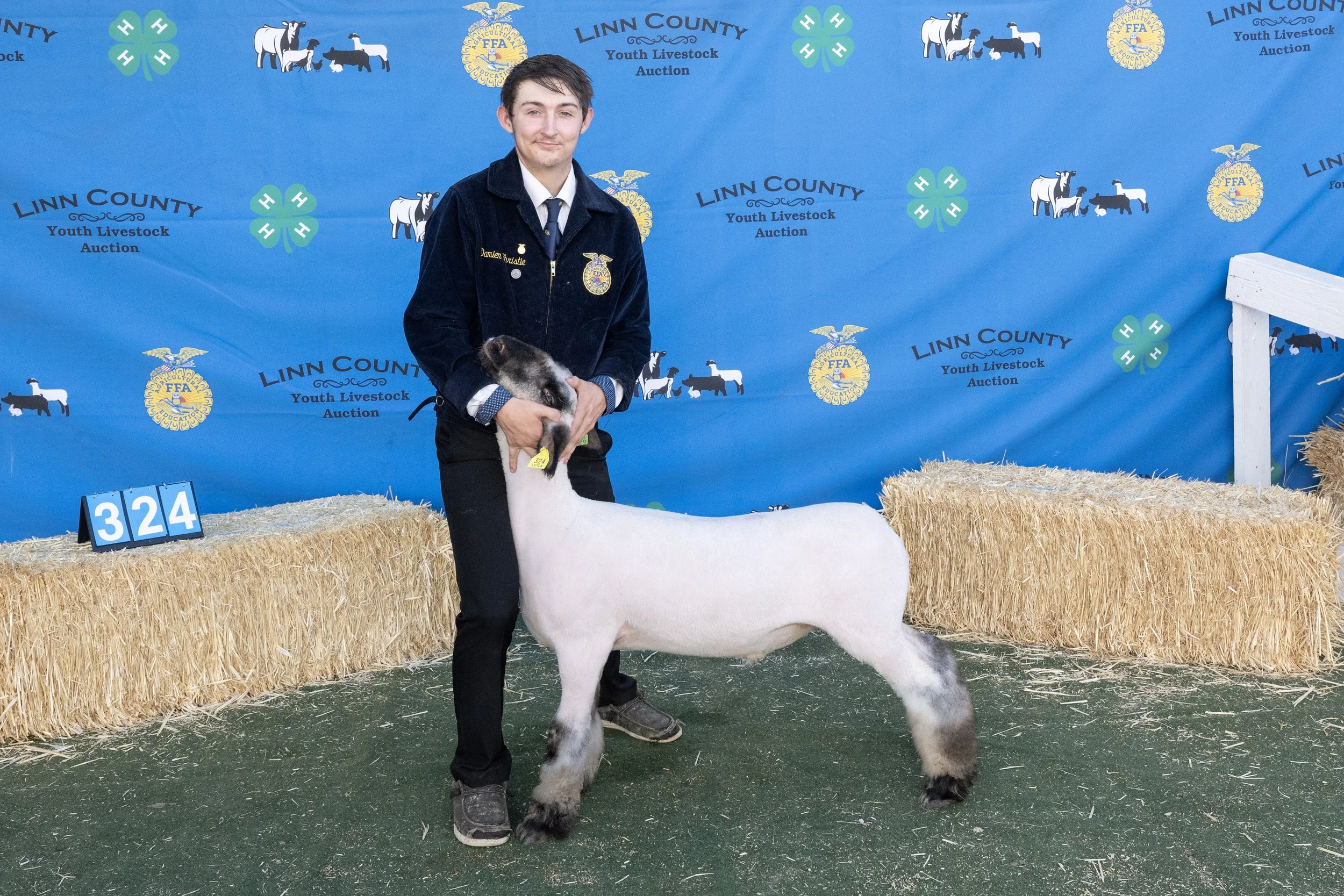 Sheep324 (1 of 1).JPG