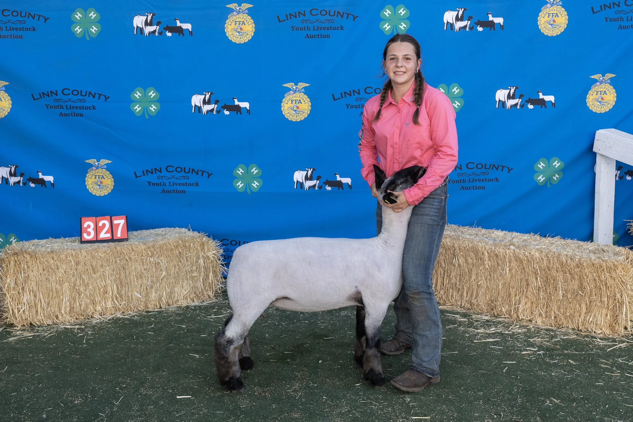 Sheep327 (1 of 1).JPG