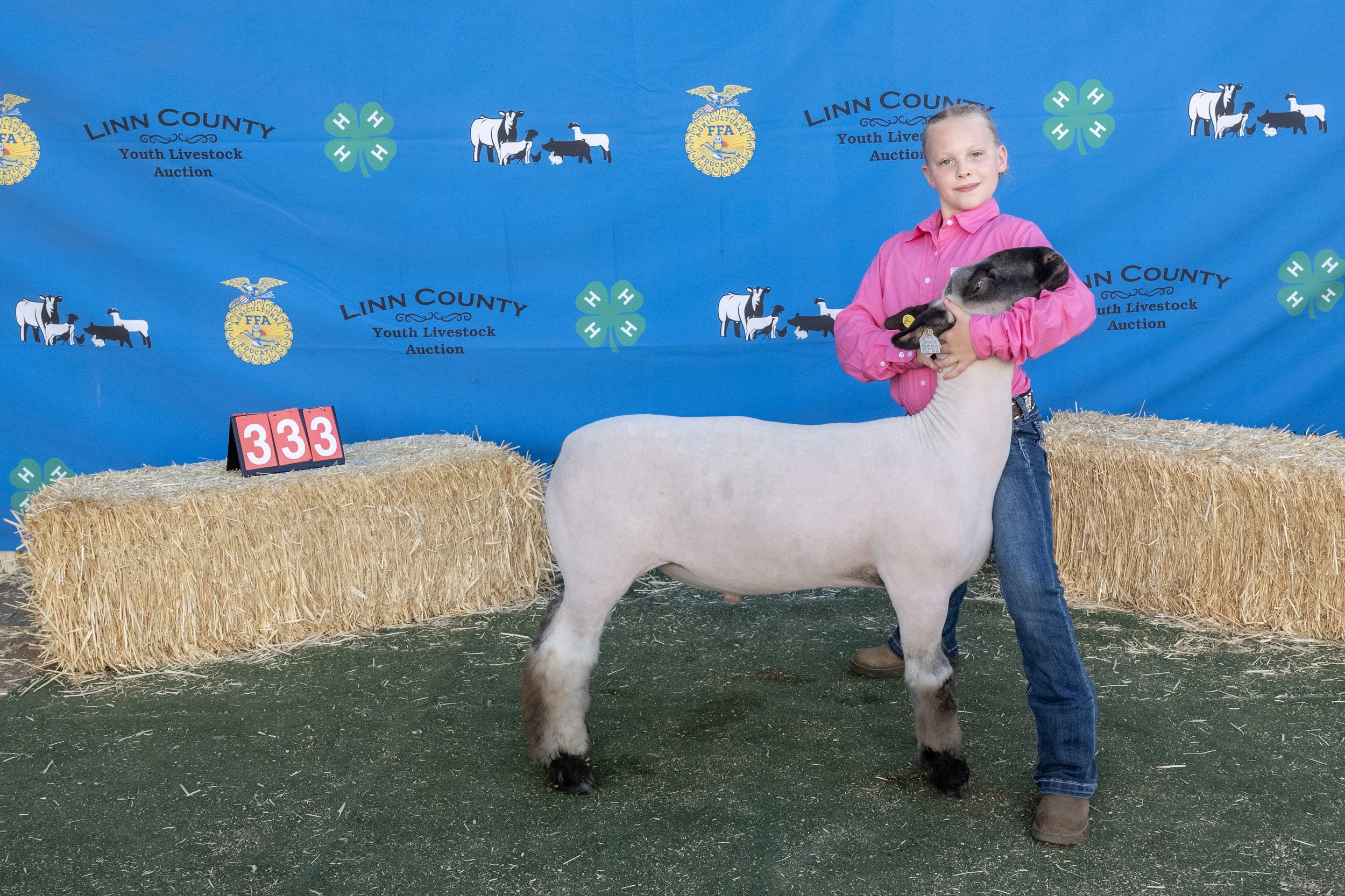 Sheep333 (1 of 1).JPG