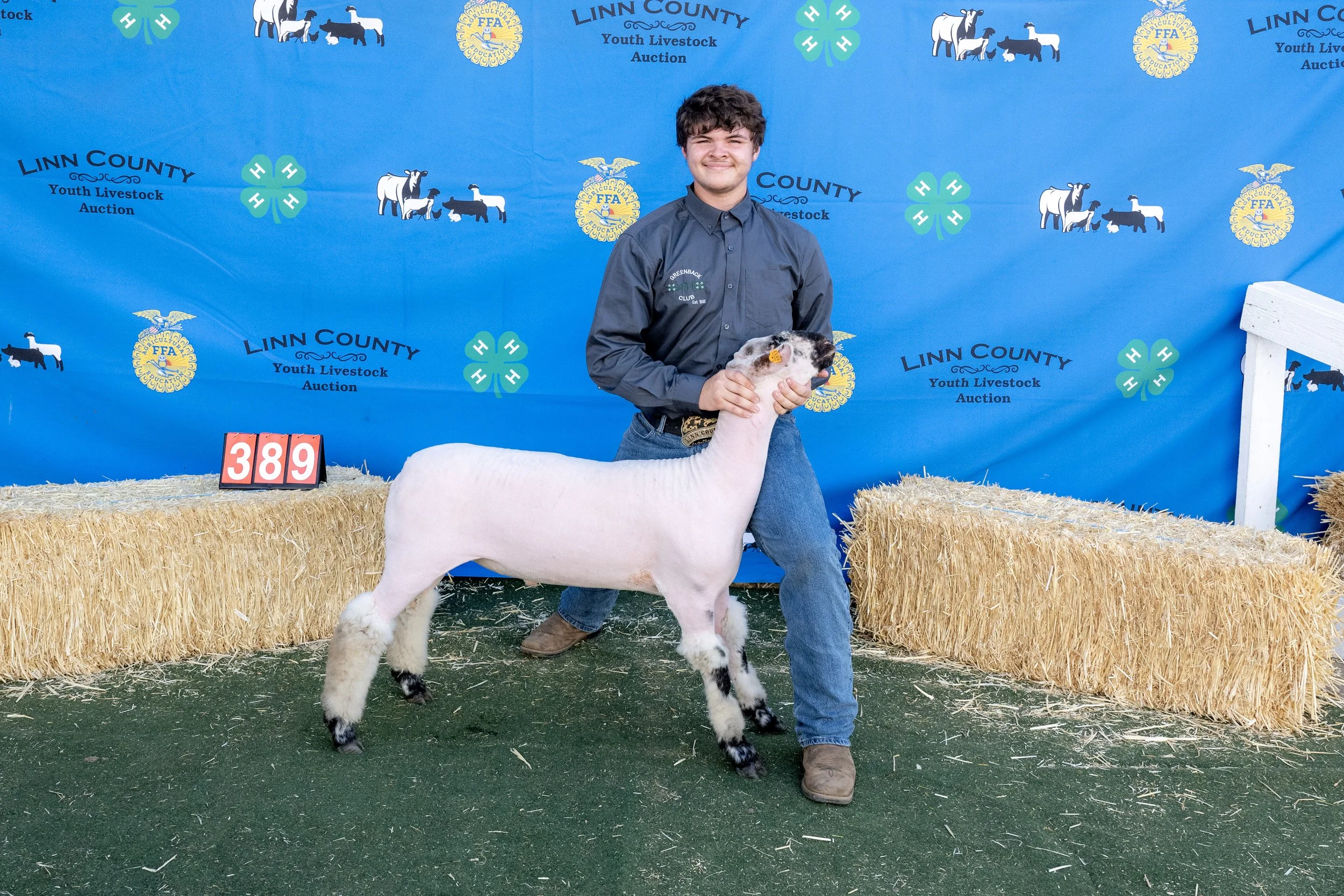 Sheep389 (1 of 1).JPG