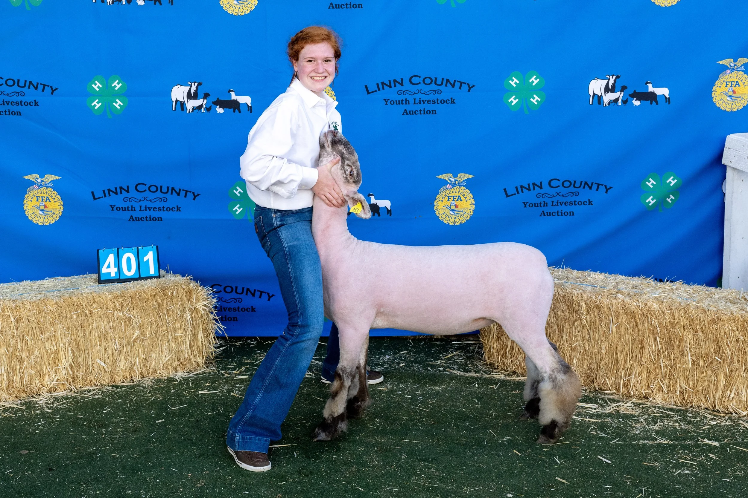 Sheep401 (1 of 1).JPG