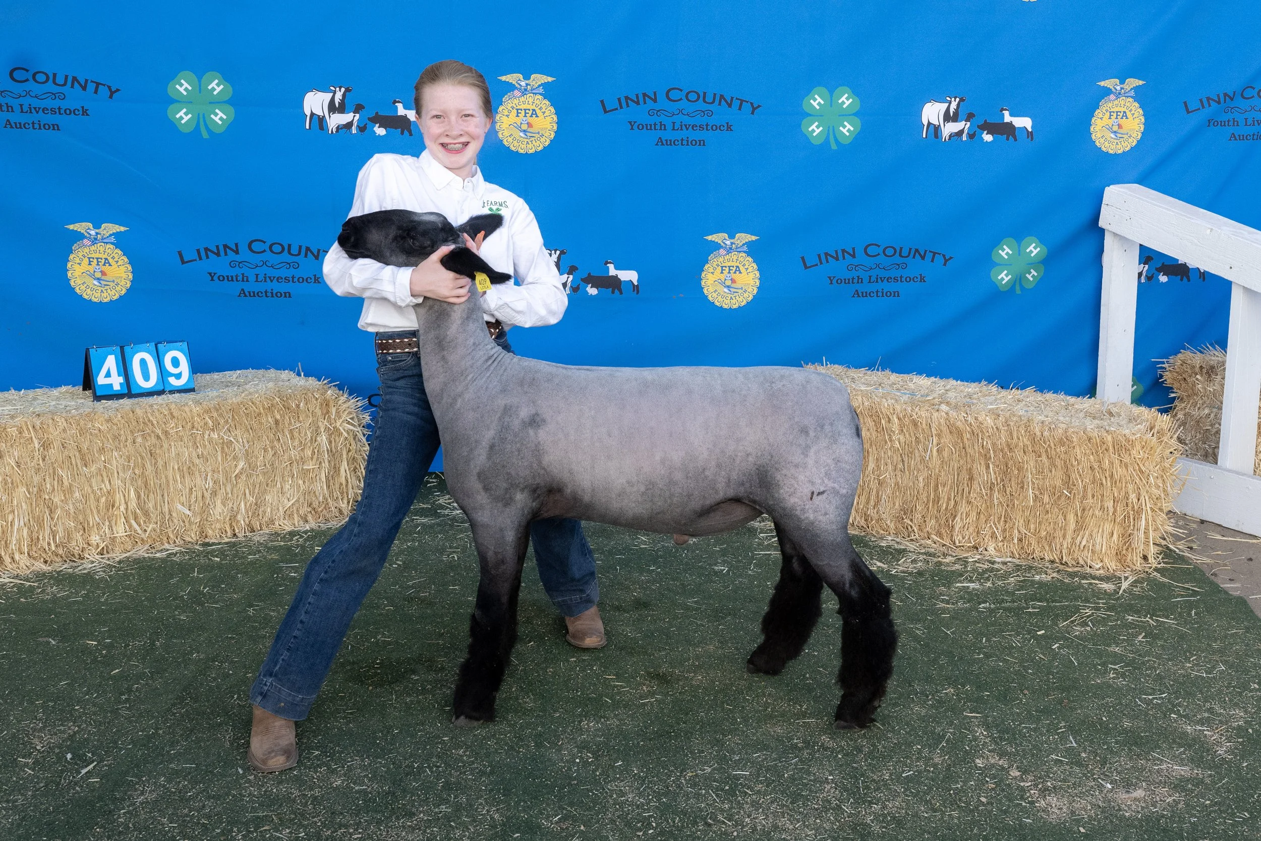 Sheep409 (1 of 1).JPG