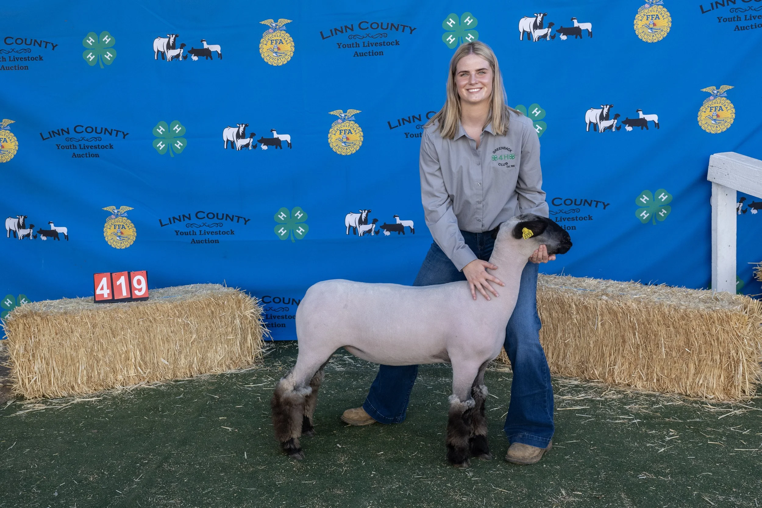 Sheep419 (1 of 1).JPG