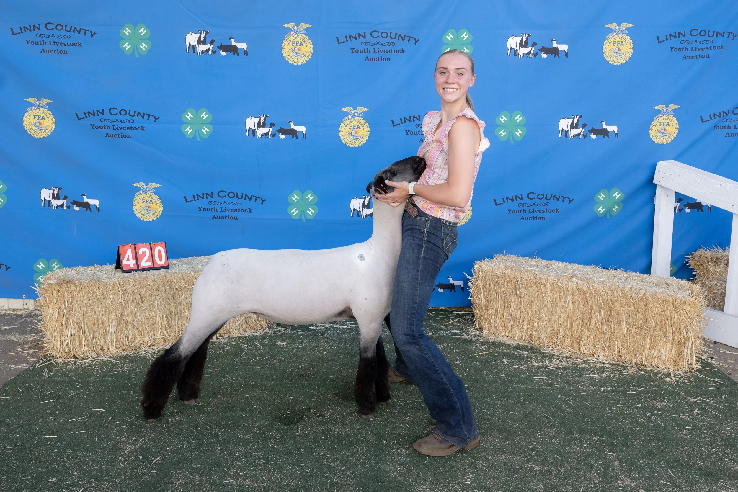 Sheep420 (1 of 1).JPG