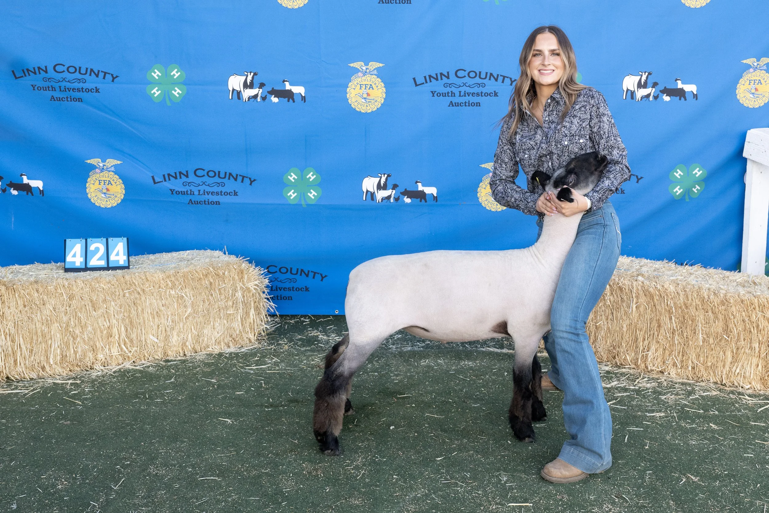 Sheep424 (1 of 1).JPG