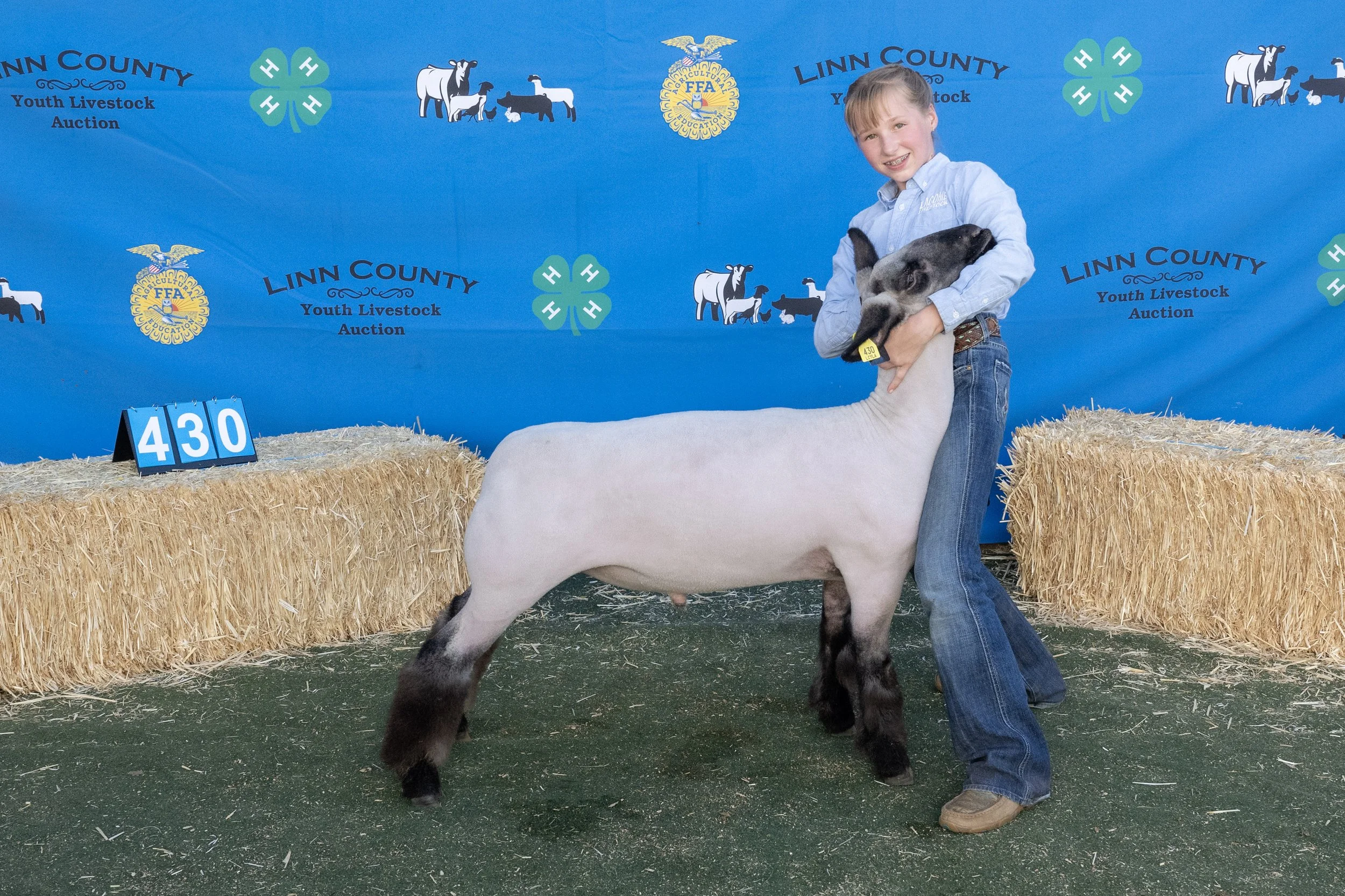 Sheep430 (1 of 1).JPG