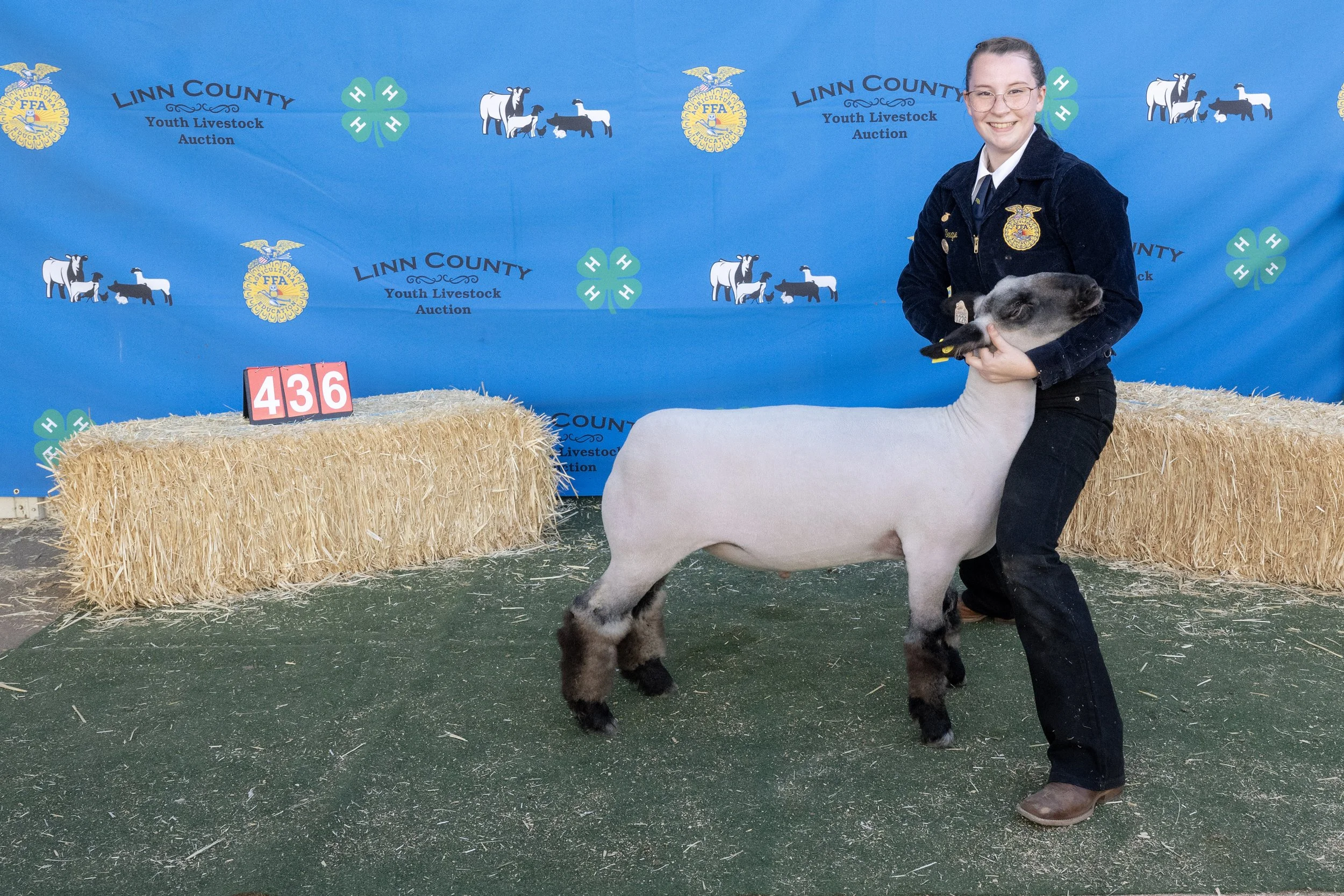 Sheep436 (1 of 1).JPG