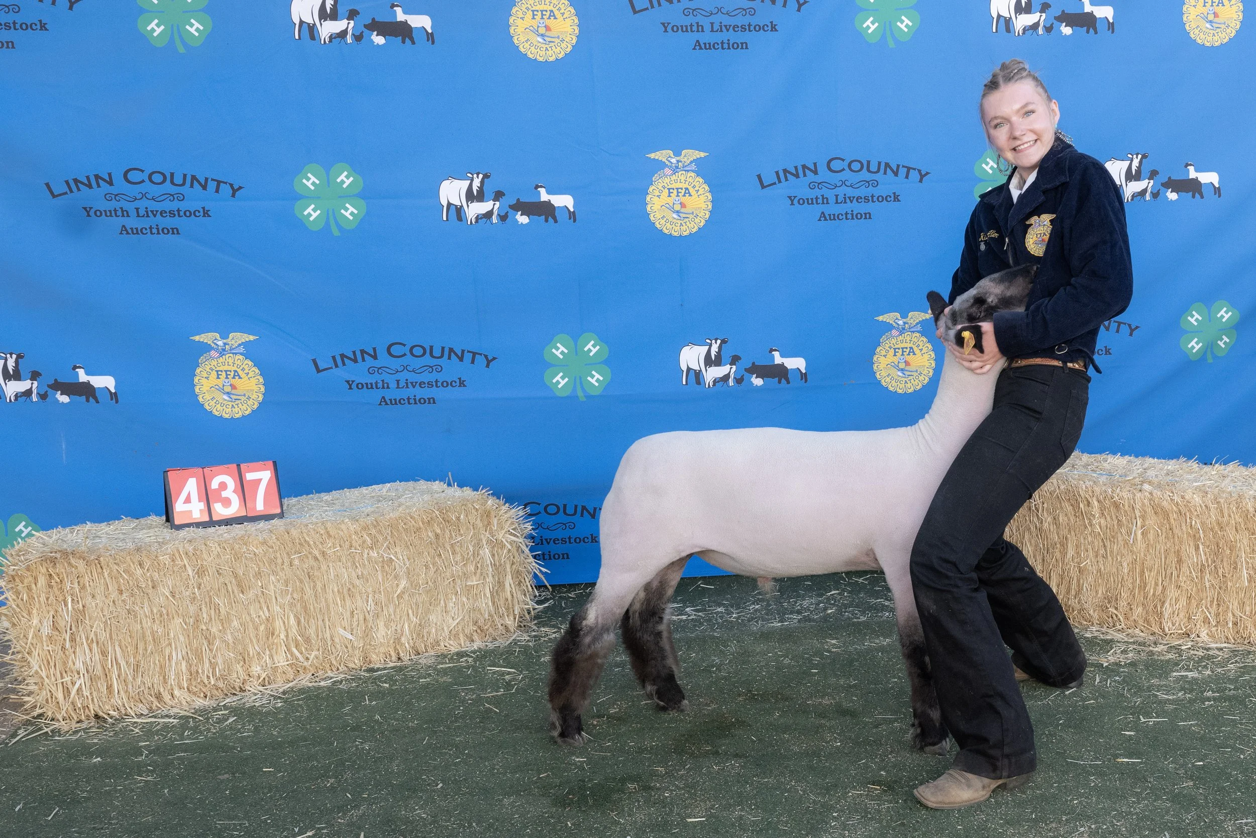 Sheep437 (1 of 1).JPG