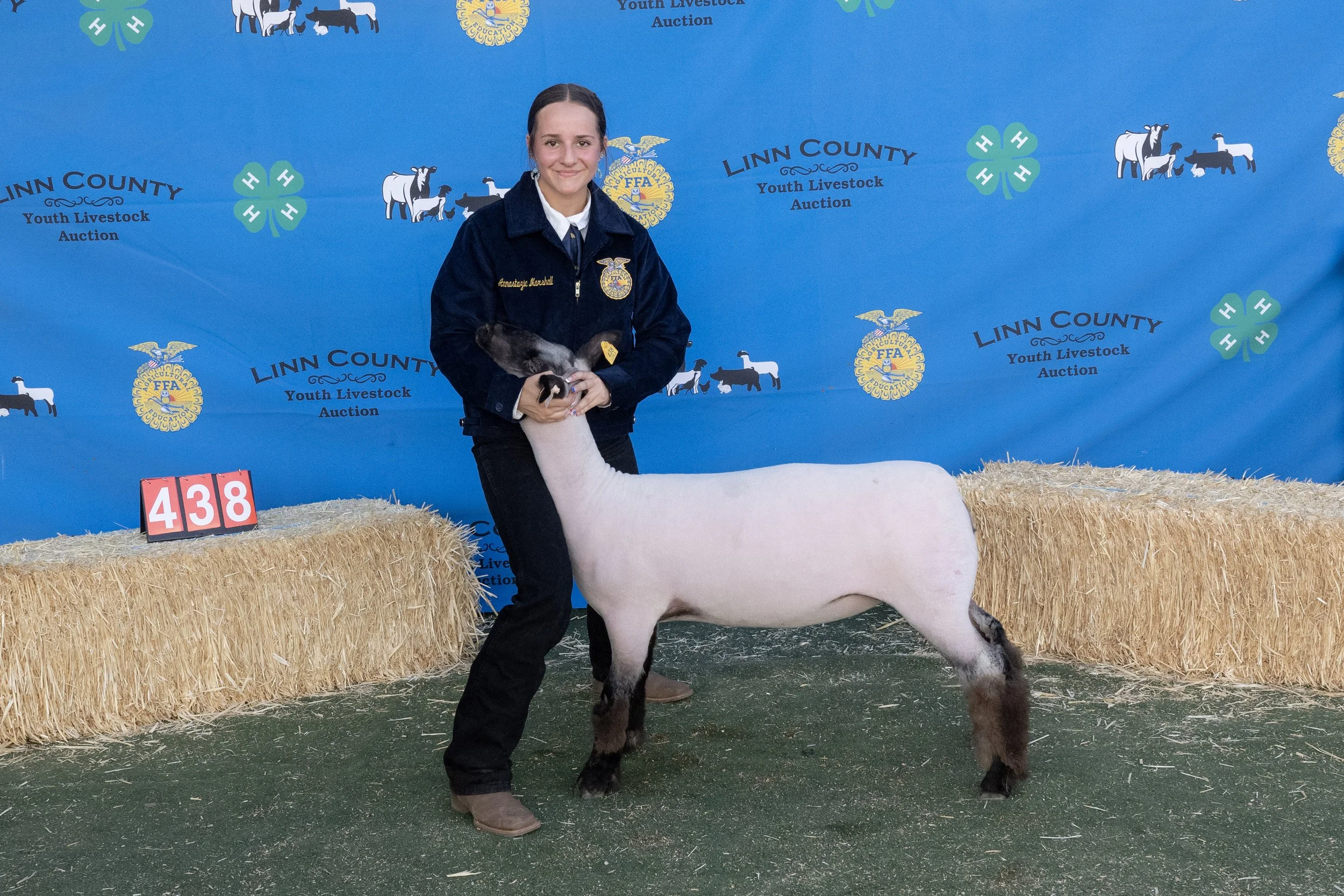 Sheep438 (1 of 1).JPG