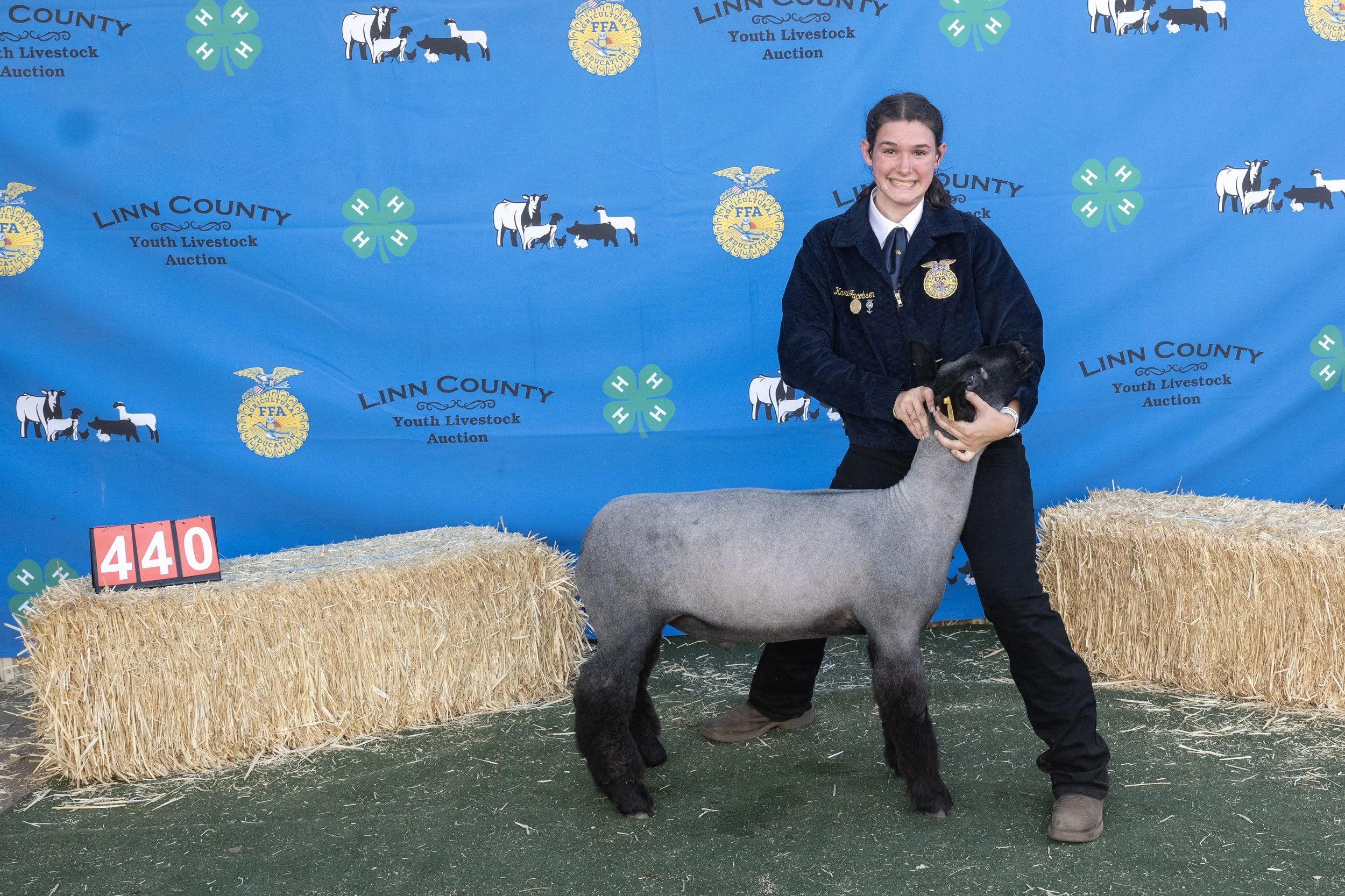 Sheep440 (1 of 1).JPG