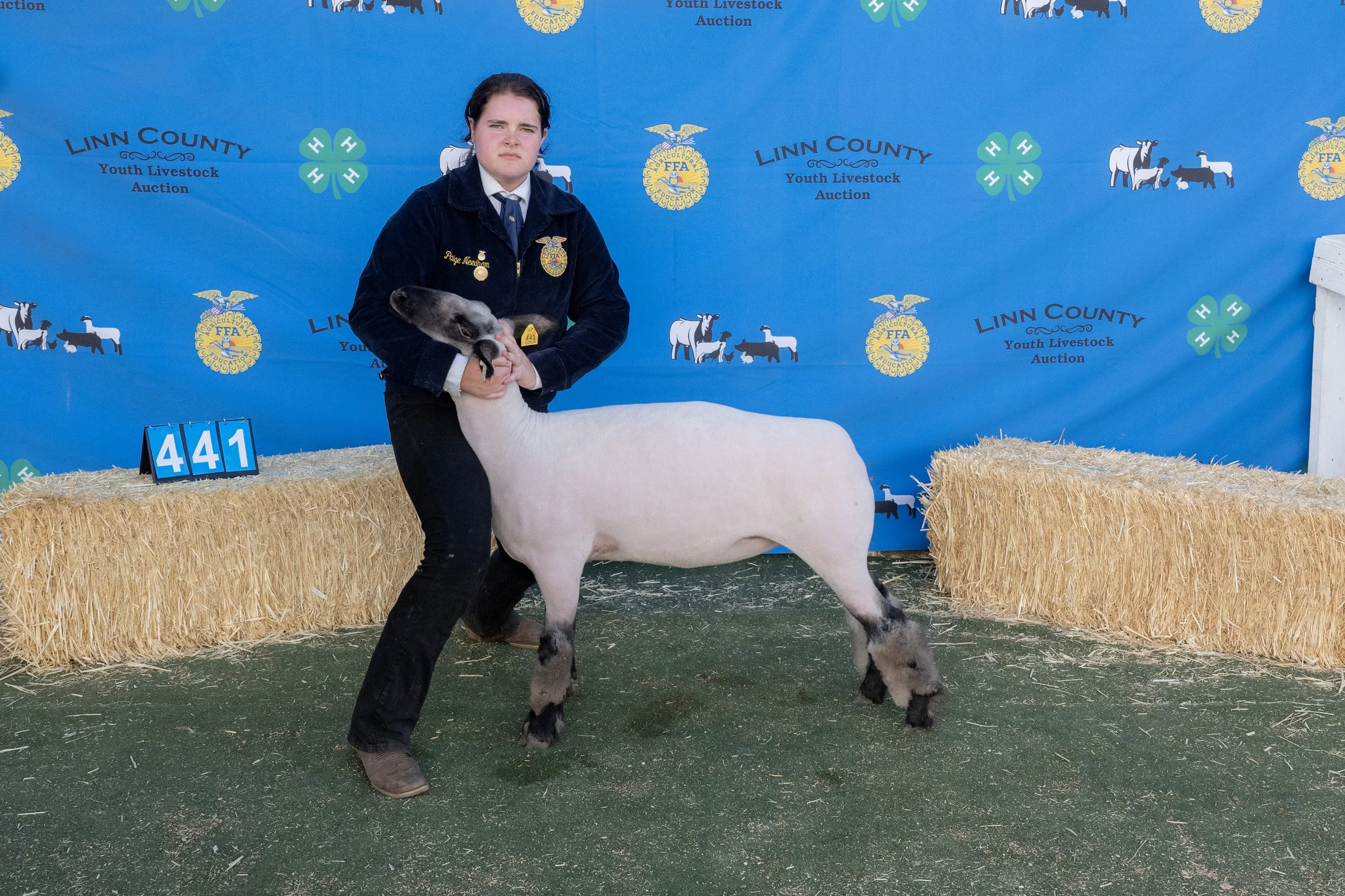 Sheep441 (1 of 1).JPG