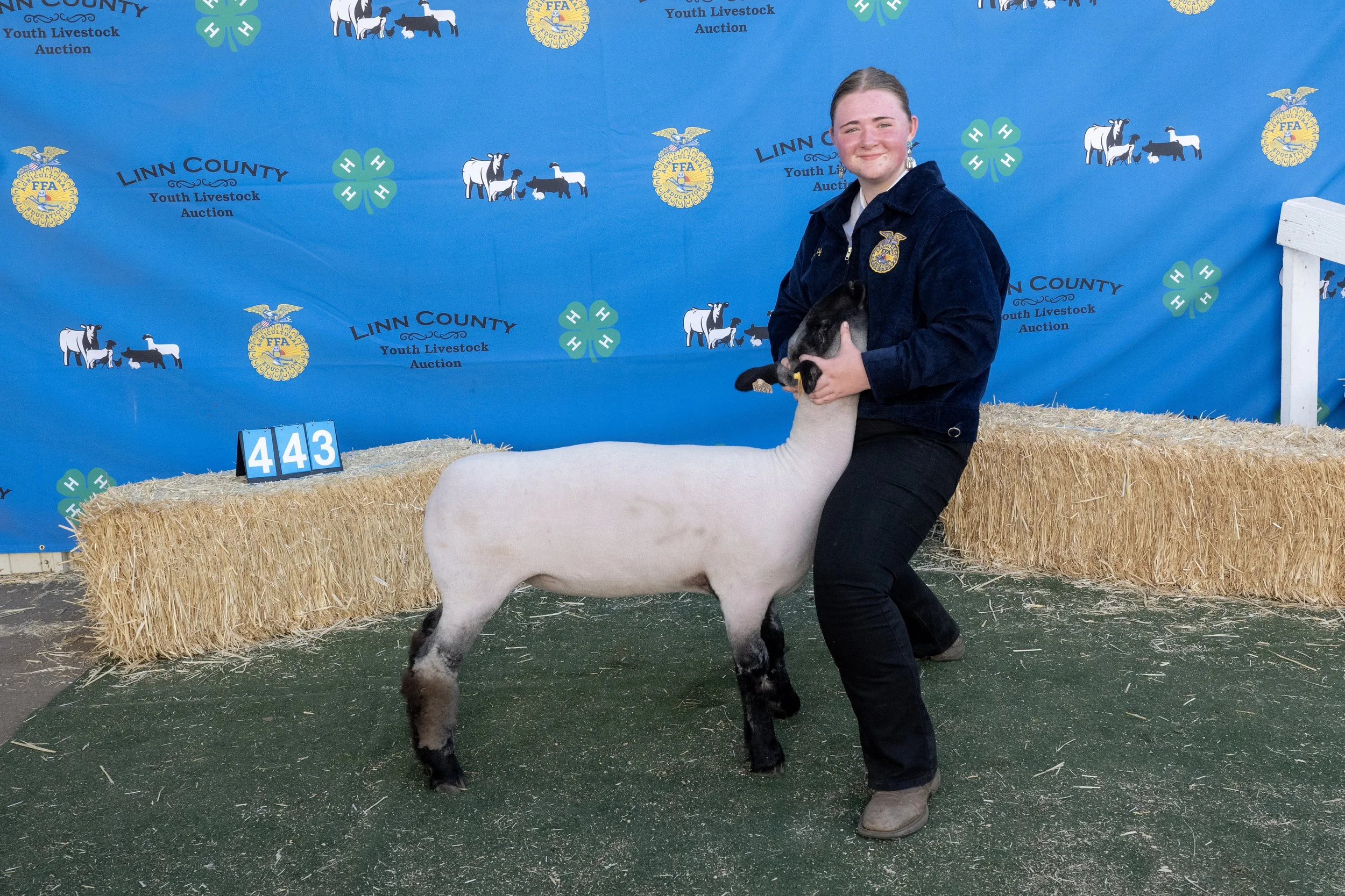Sheep443 (1 of 1).JPG