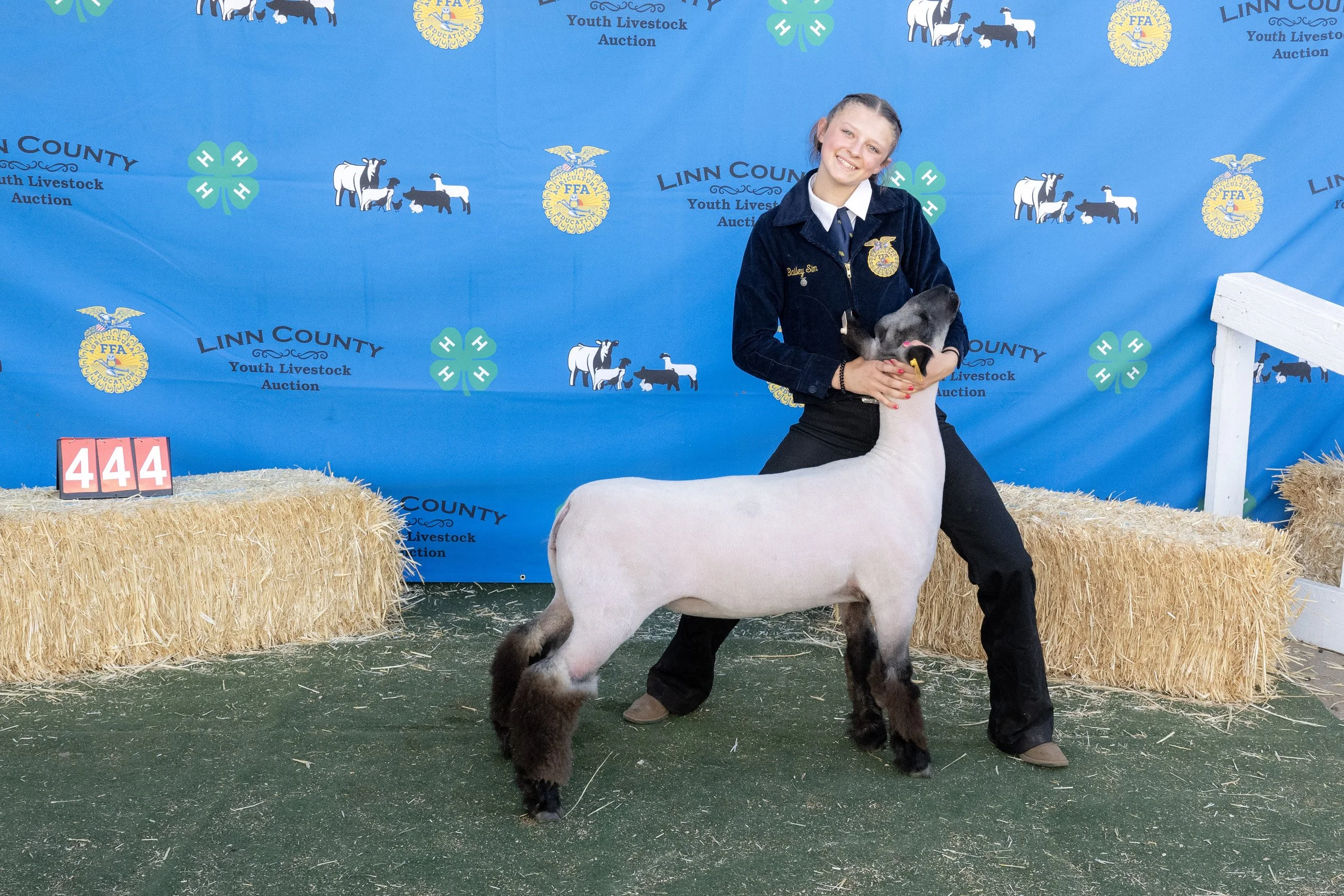 Sheep444 (1 of 1).JPG