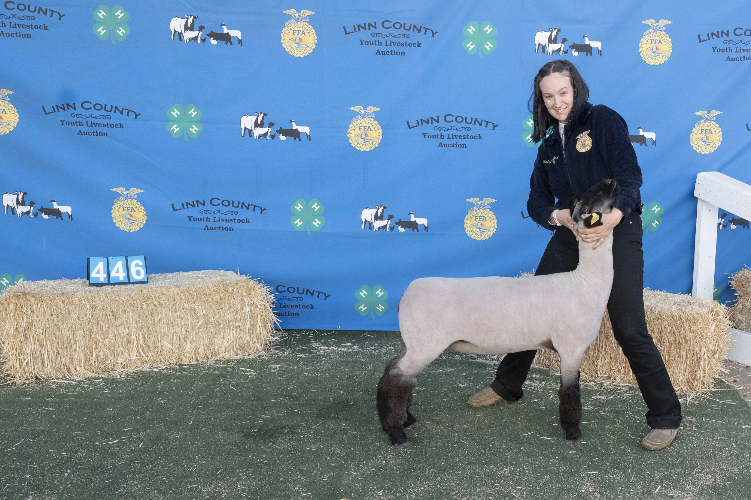 Sheep446 (1 of 1).JPG