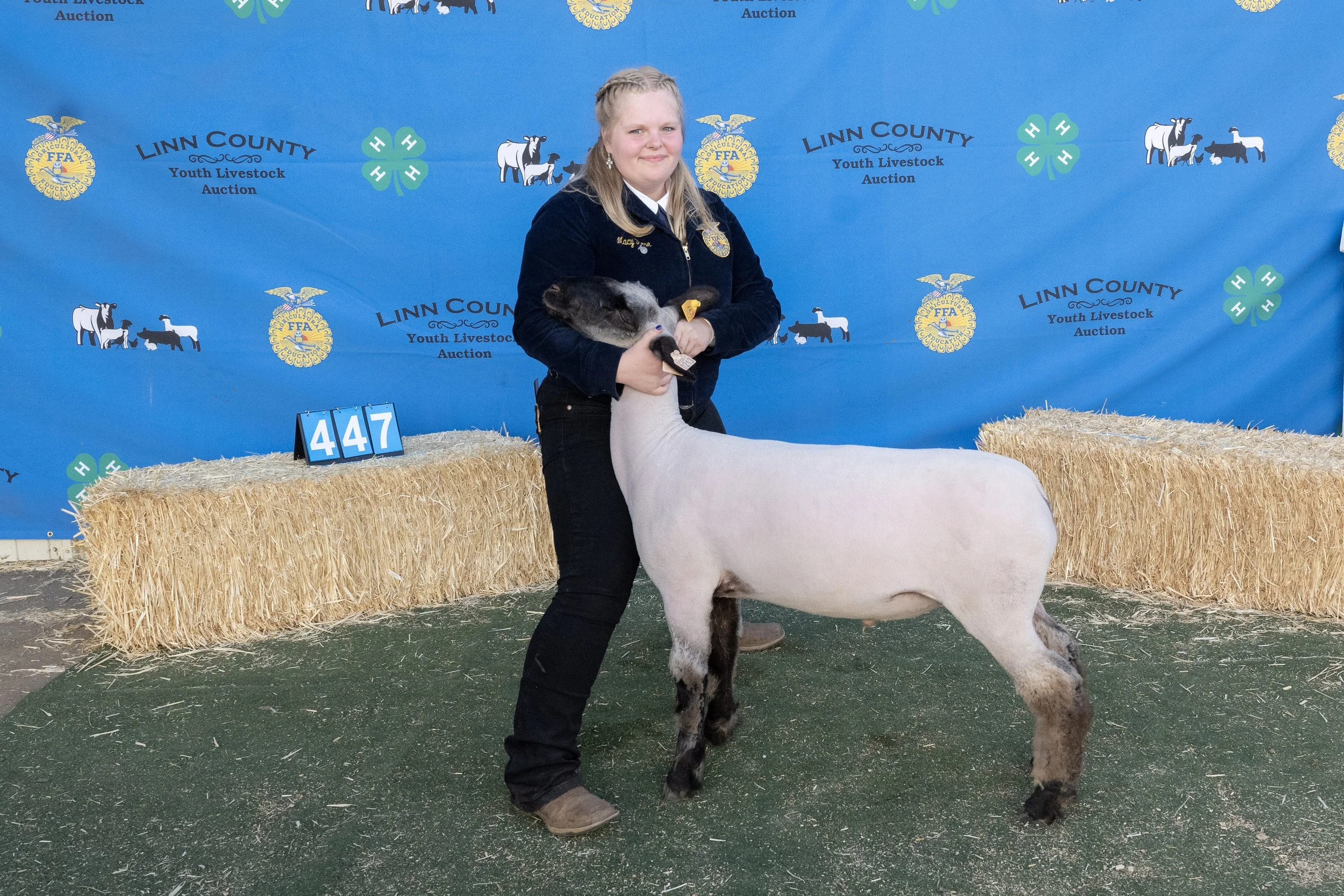 Sheep447 (1 of 1).JPG