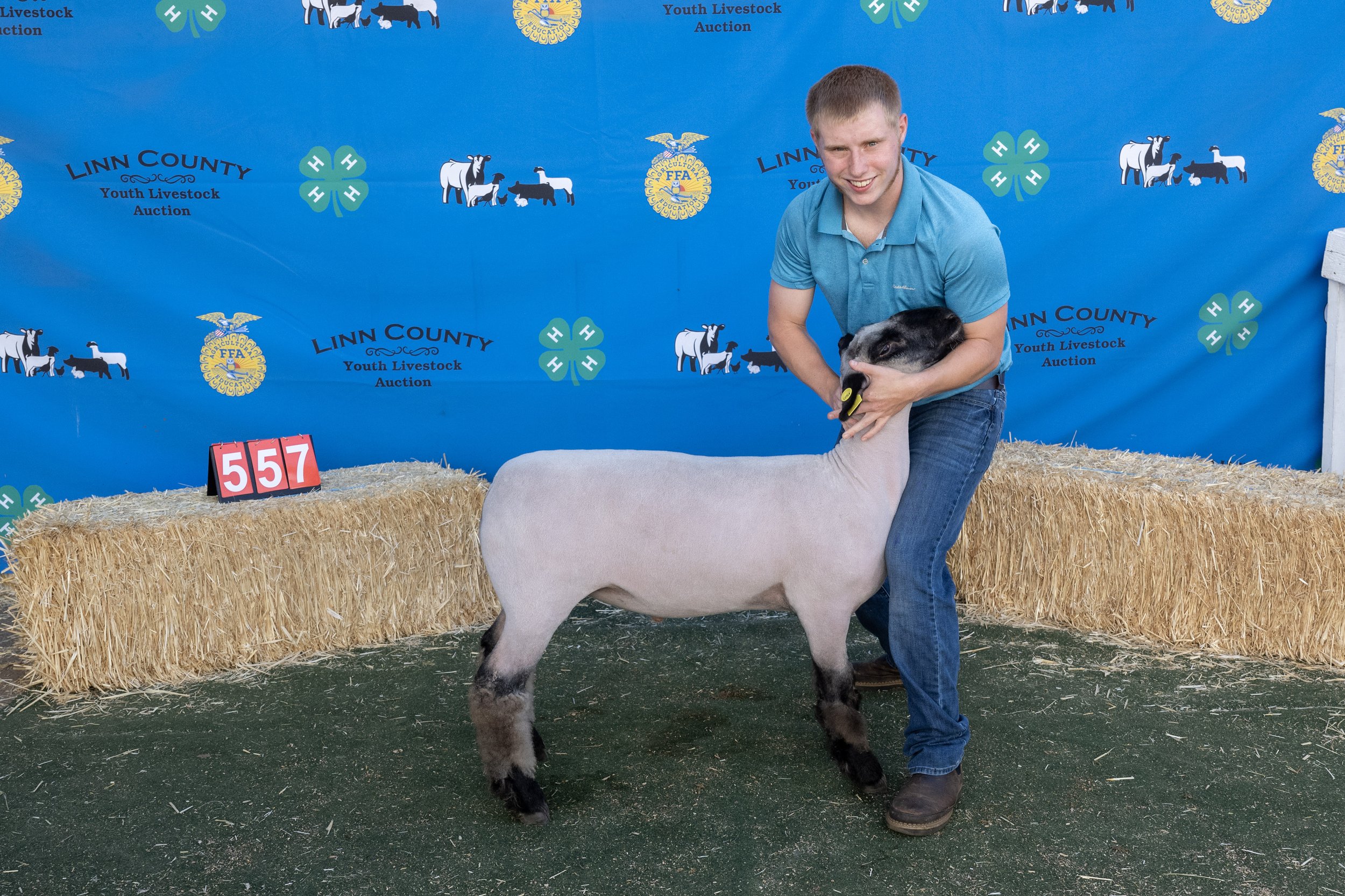 Sheep557 (1 of 1).JPG