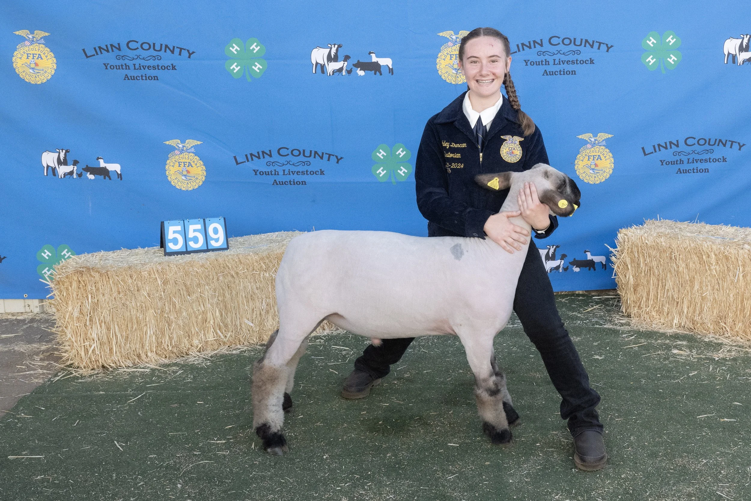 Sheep559 (1 of 1).JPG