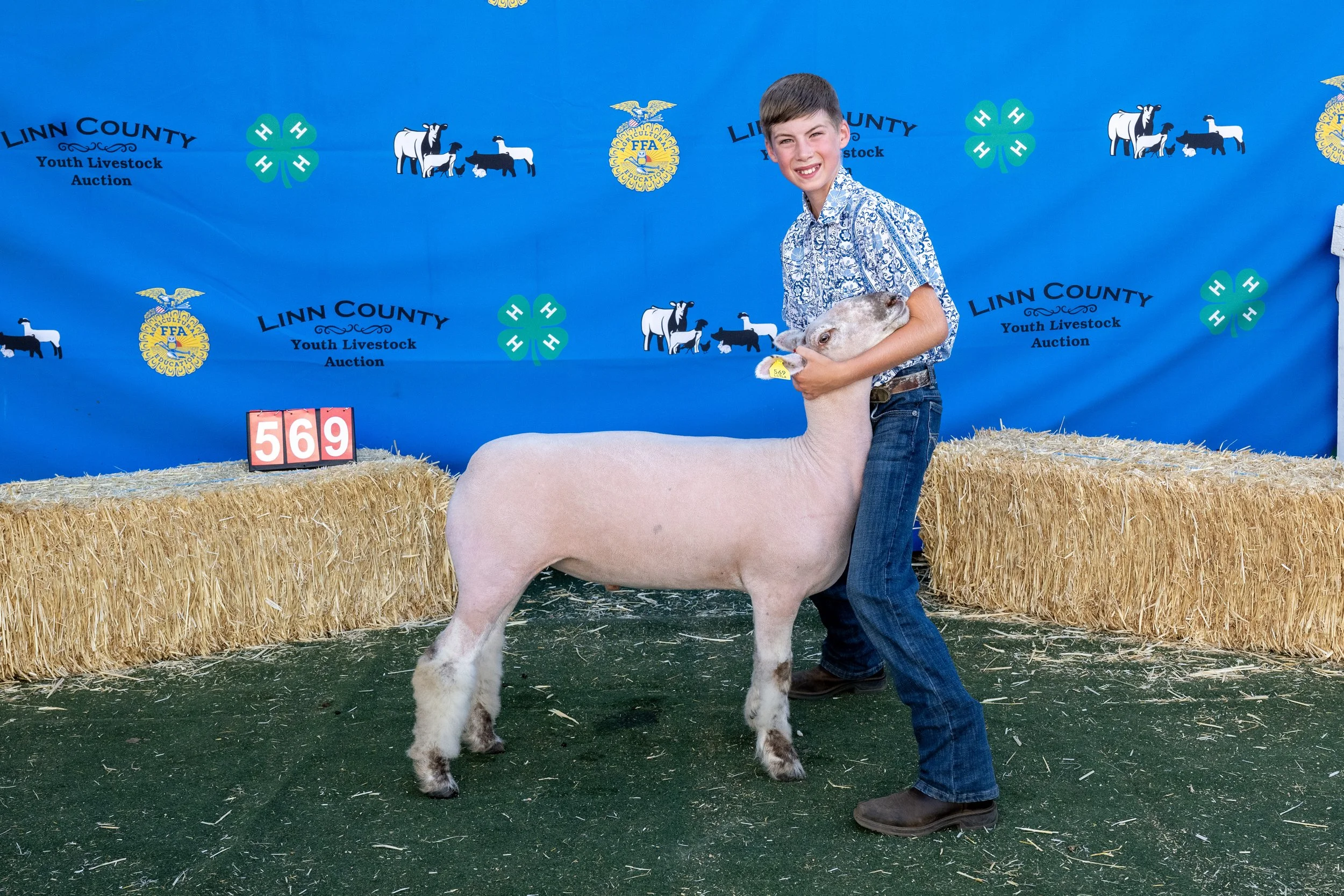 Sheep569 (1 of 1).JPG