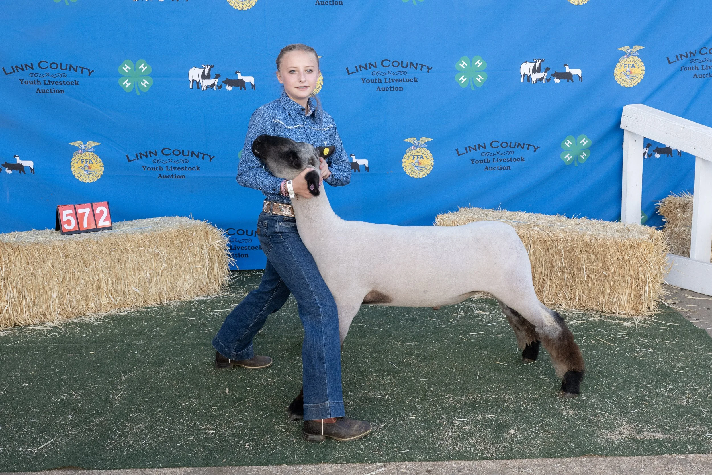 Sheep572 (1 of 1).JPG