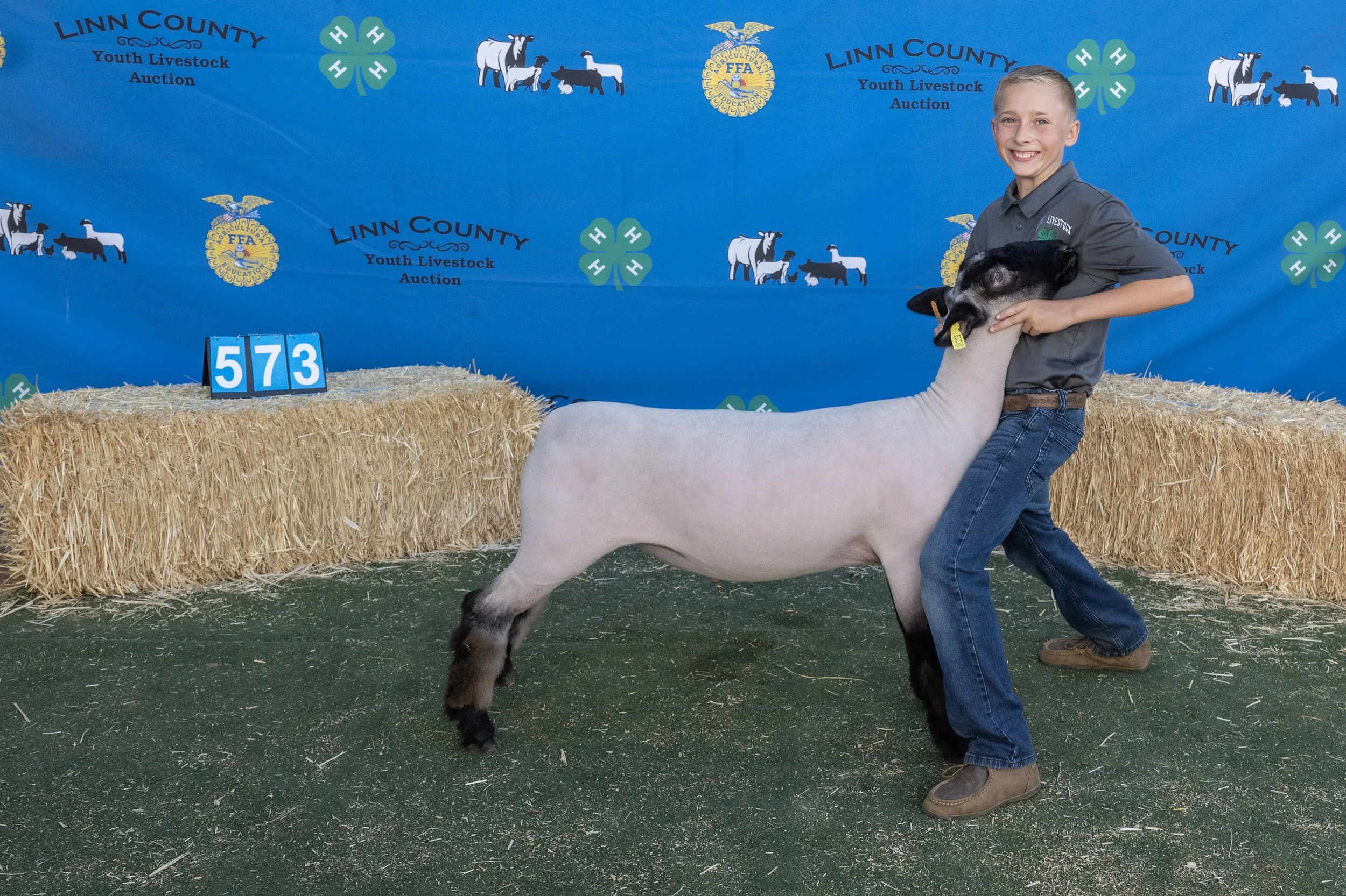 Sheep573 (1 of 1).JPG