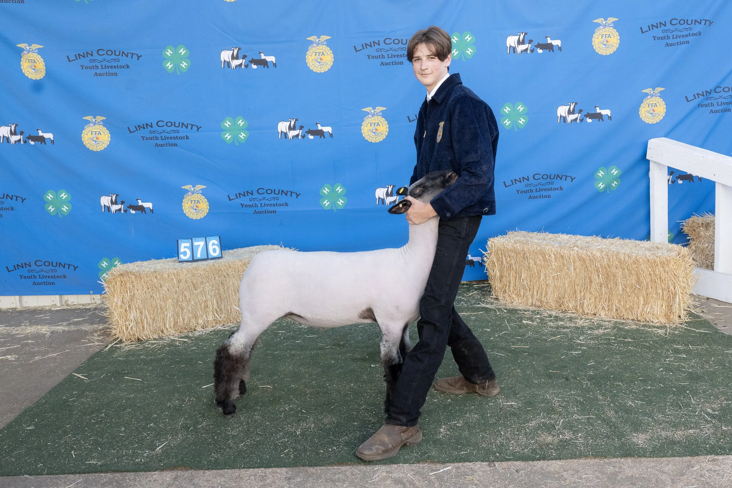 Sheep576 (1 of 1).JPG