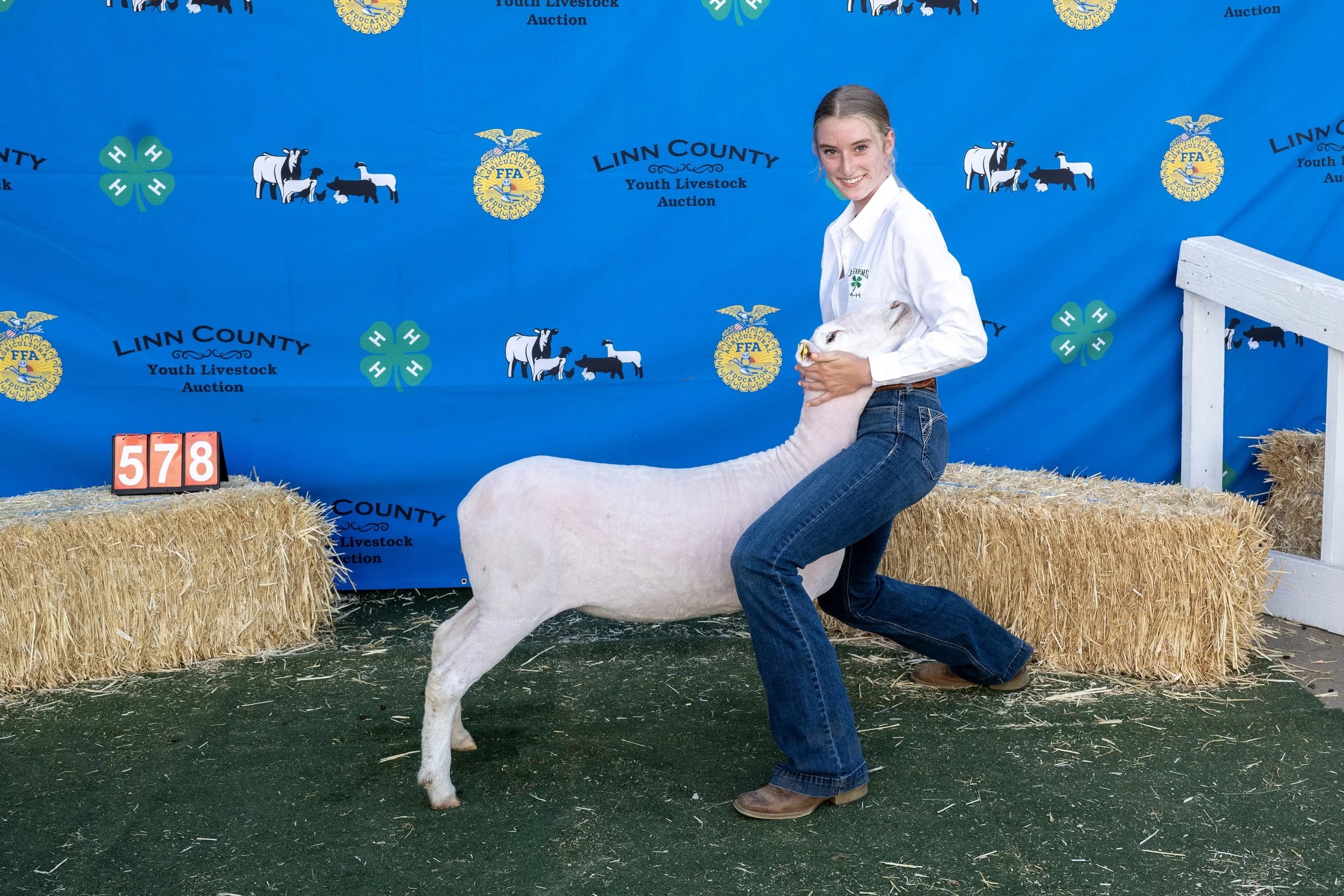 Sheep578 (1 of 1).JPG