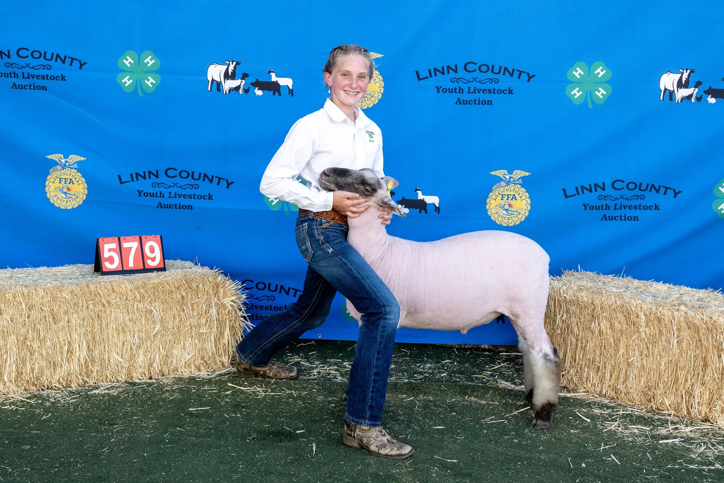 Sheep579 (1 of 1).JPG