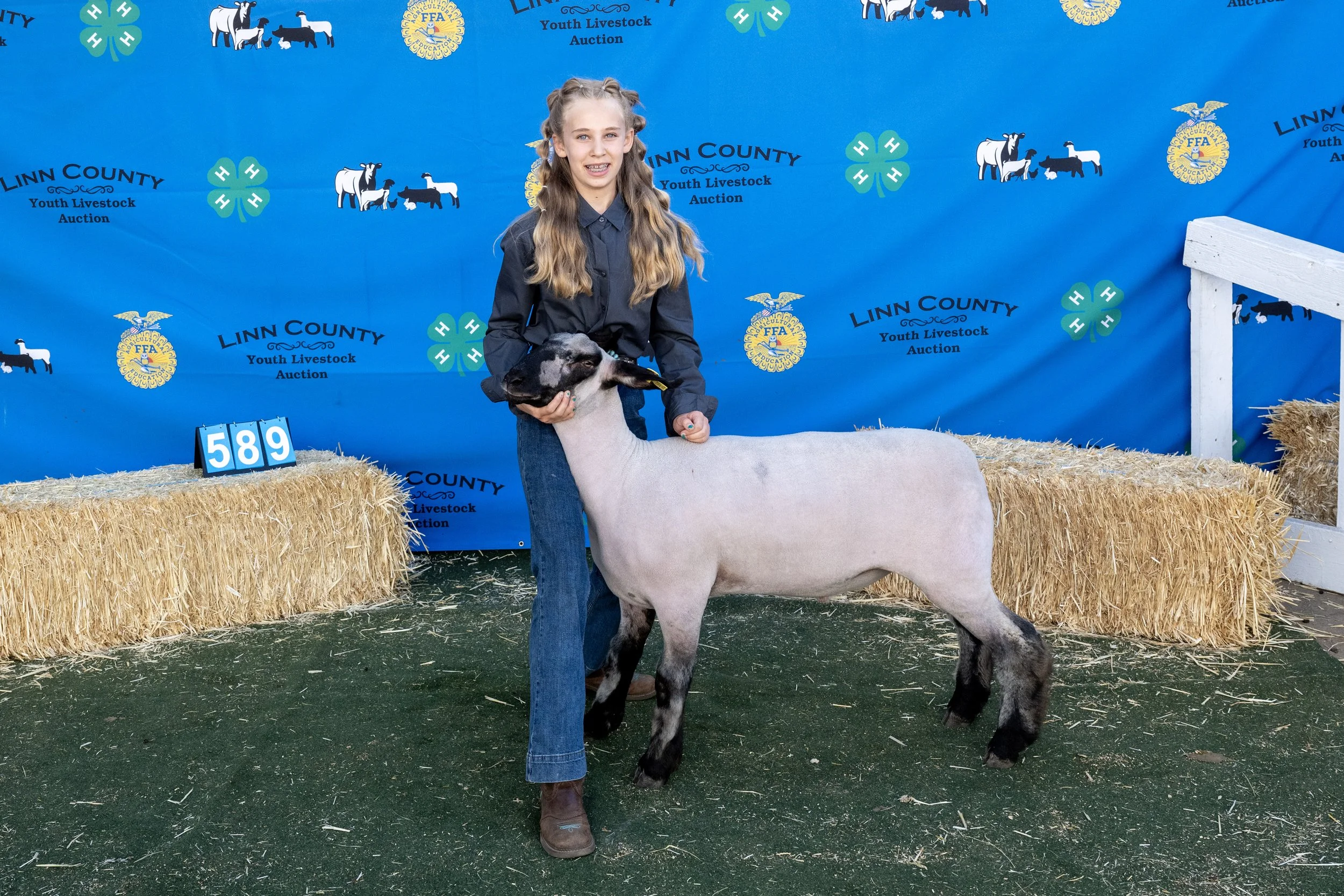 Sheep589 (1 of 1).JPG