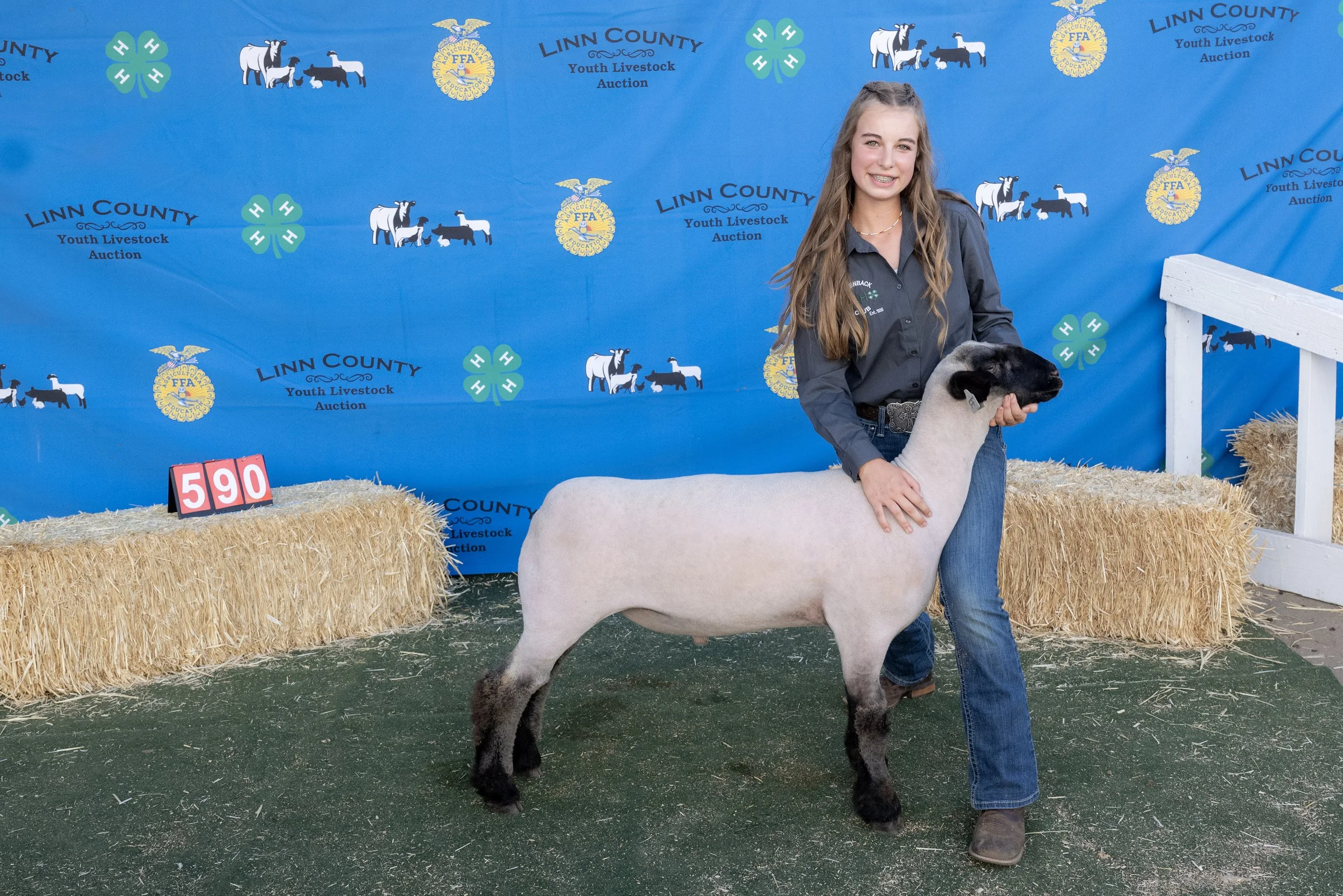 Sheep590 (1 of 1).JPG