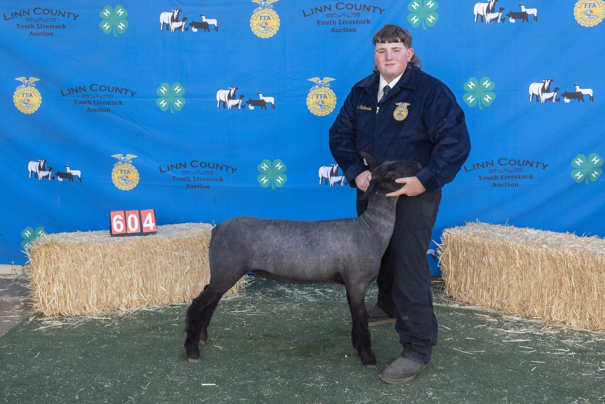 Sheep604 (1 of 1).JPG