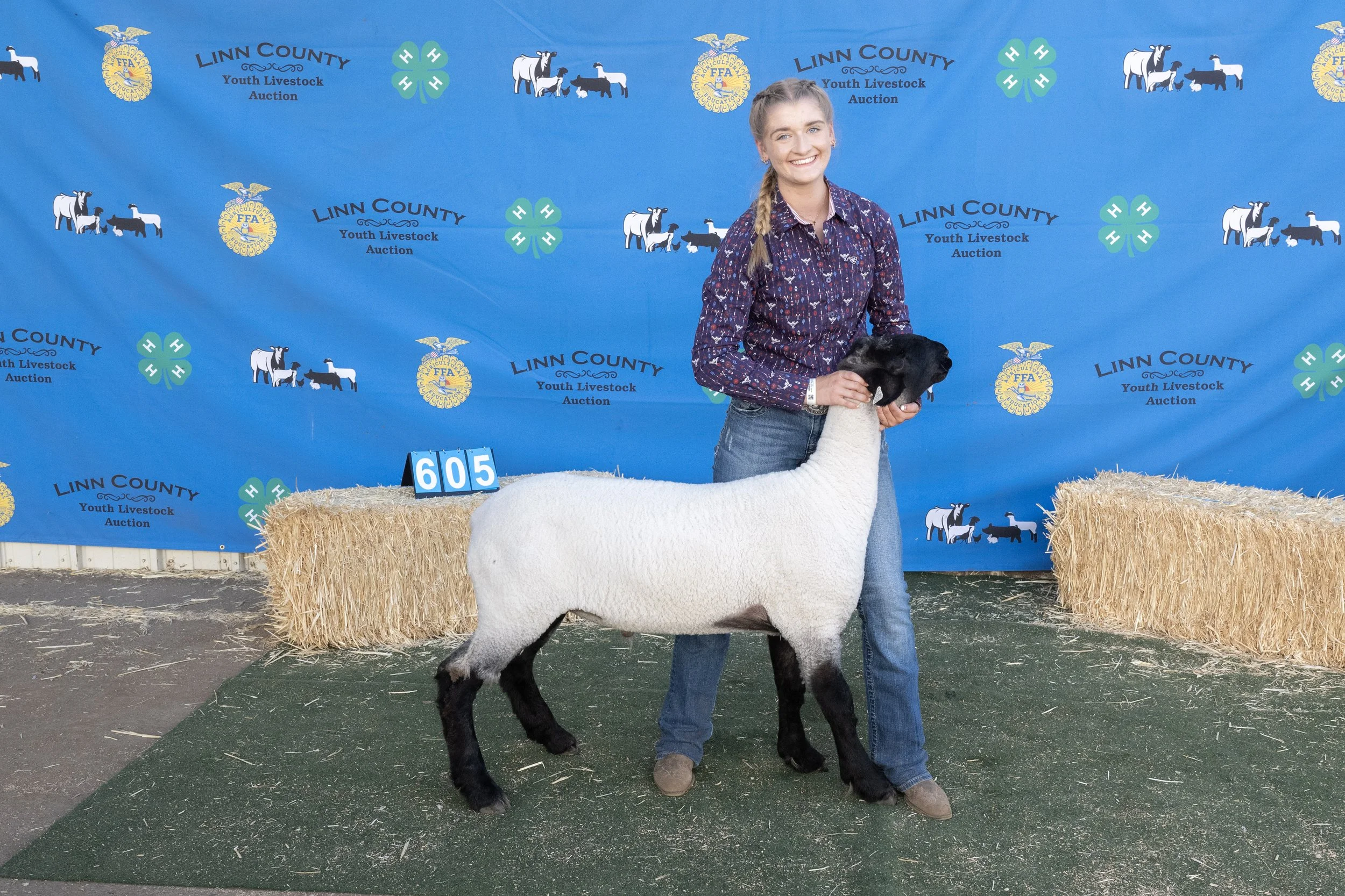 Sheep605 (1 of 1).JPG