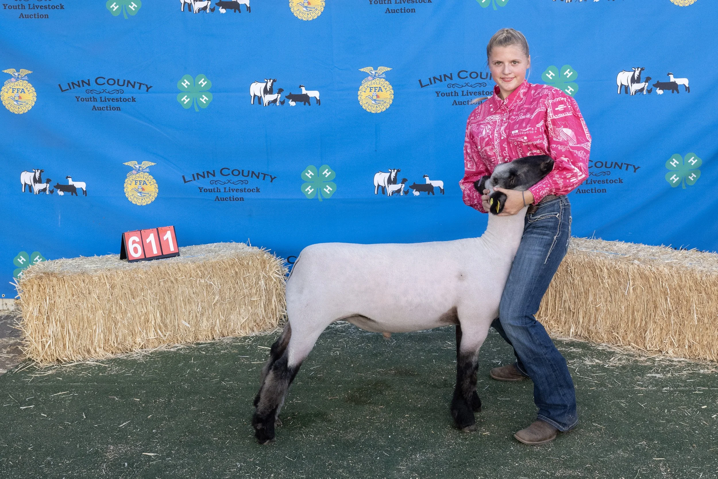 Sheep611 (1 of 1).JPG