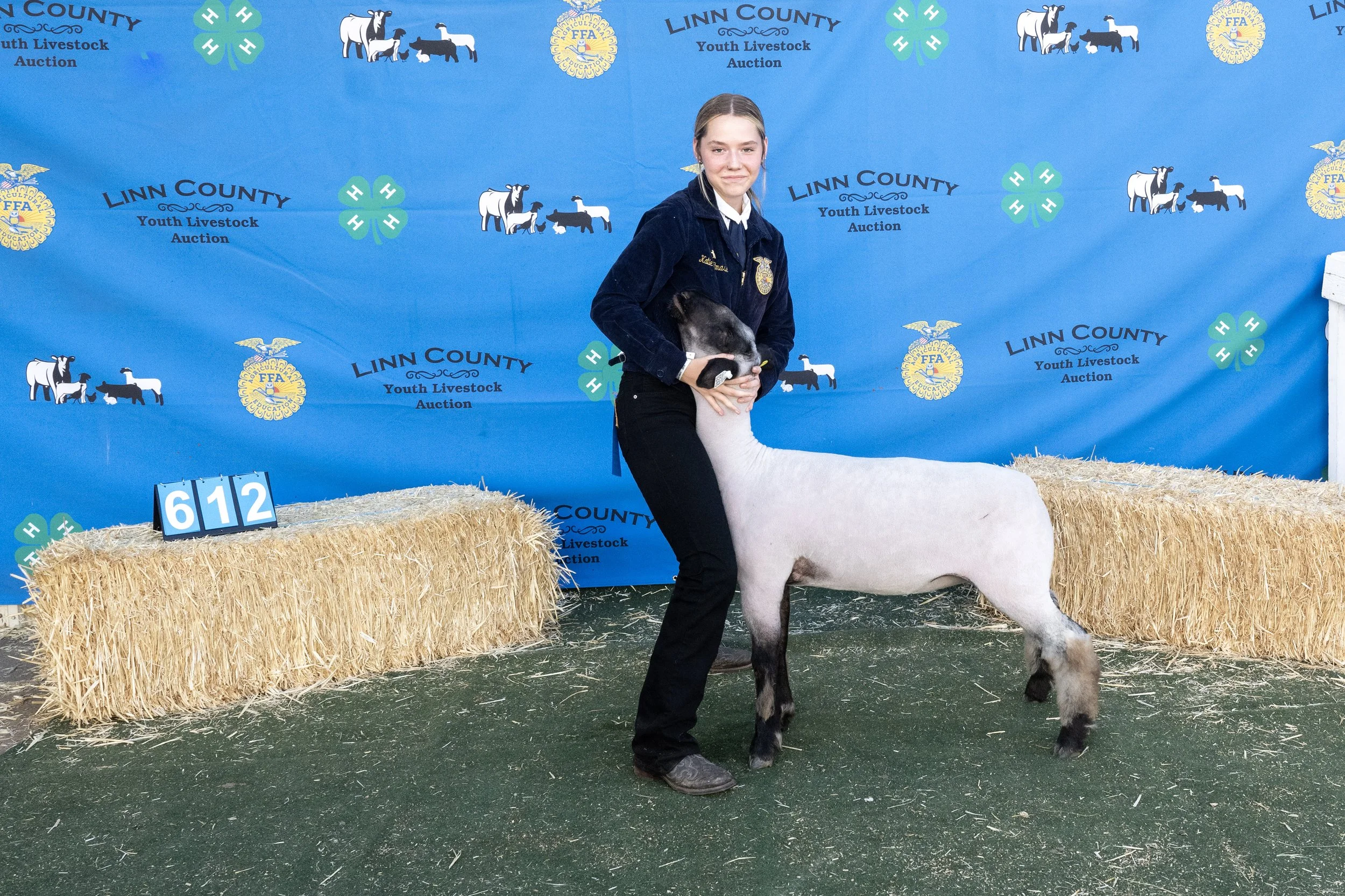 Sheep612 (1 of 1).JPG