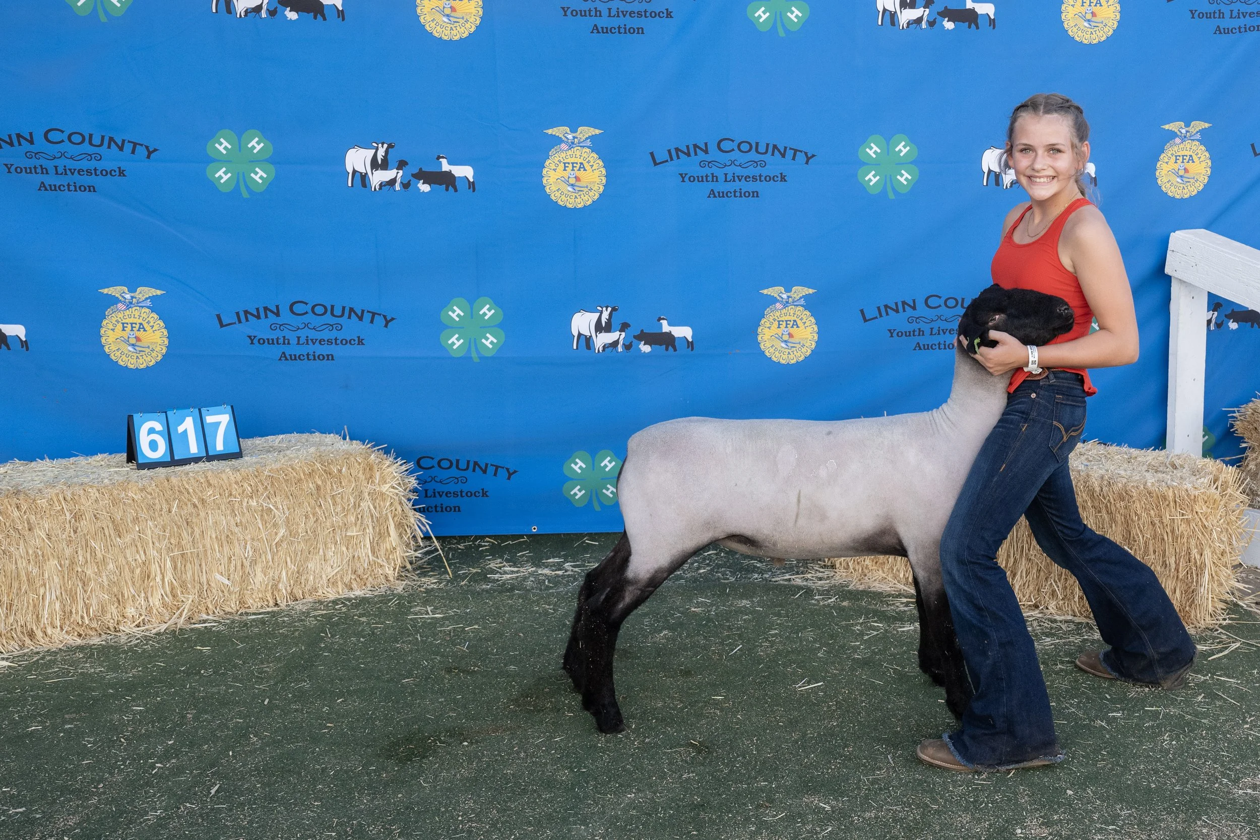Sheep617 (1 of 1).JPG