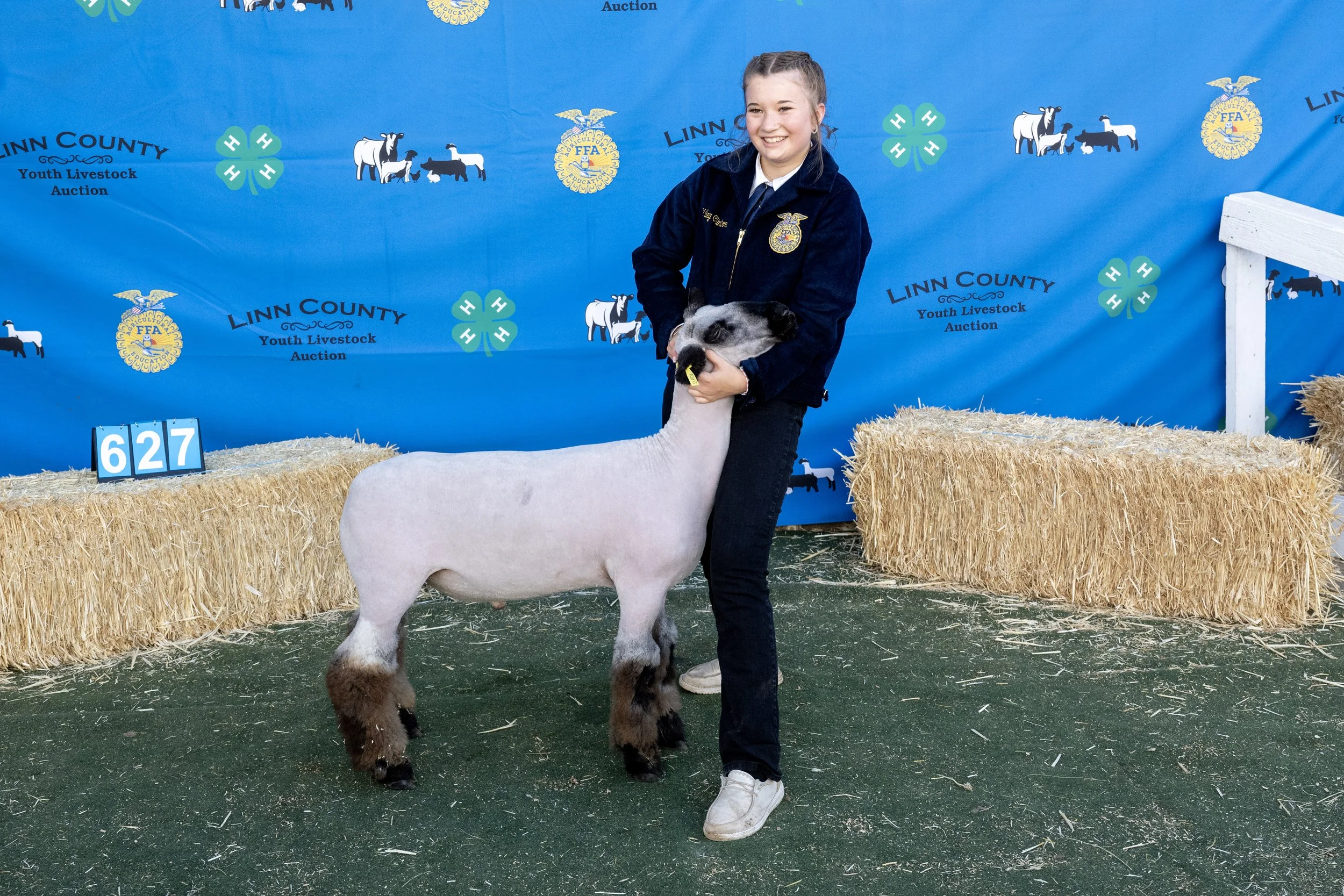 Sheep627 (1 of 1).JPG