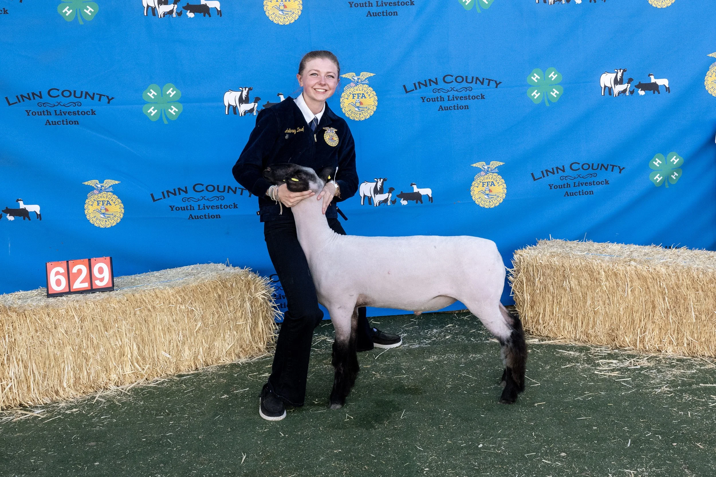 Sheep629 (1 of 1).JPG