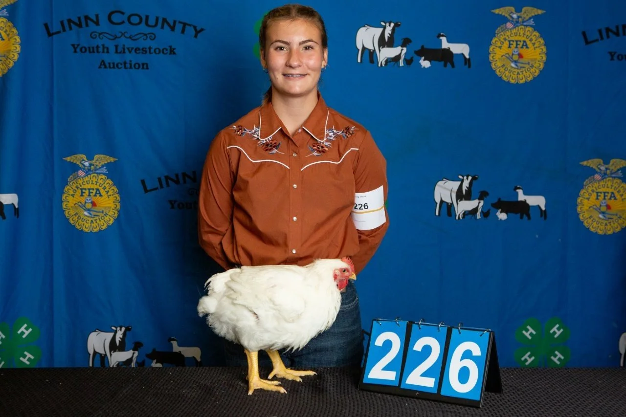 Chicken-226.jpg