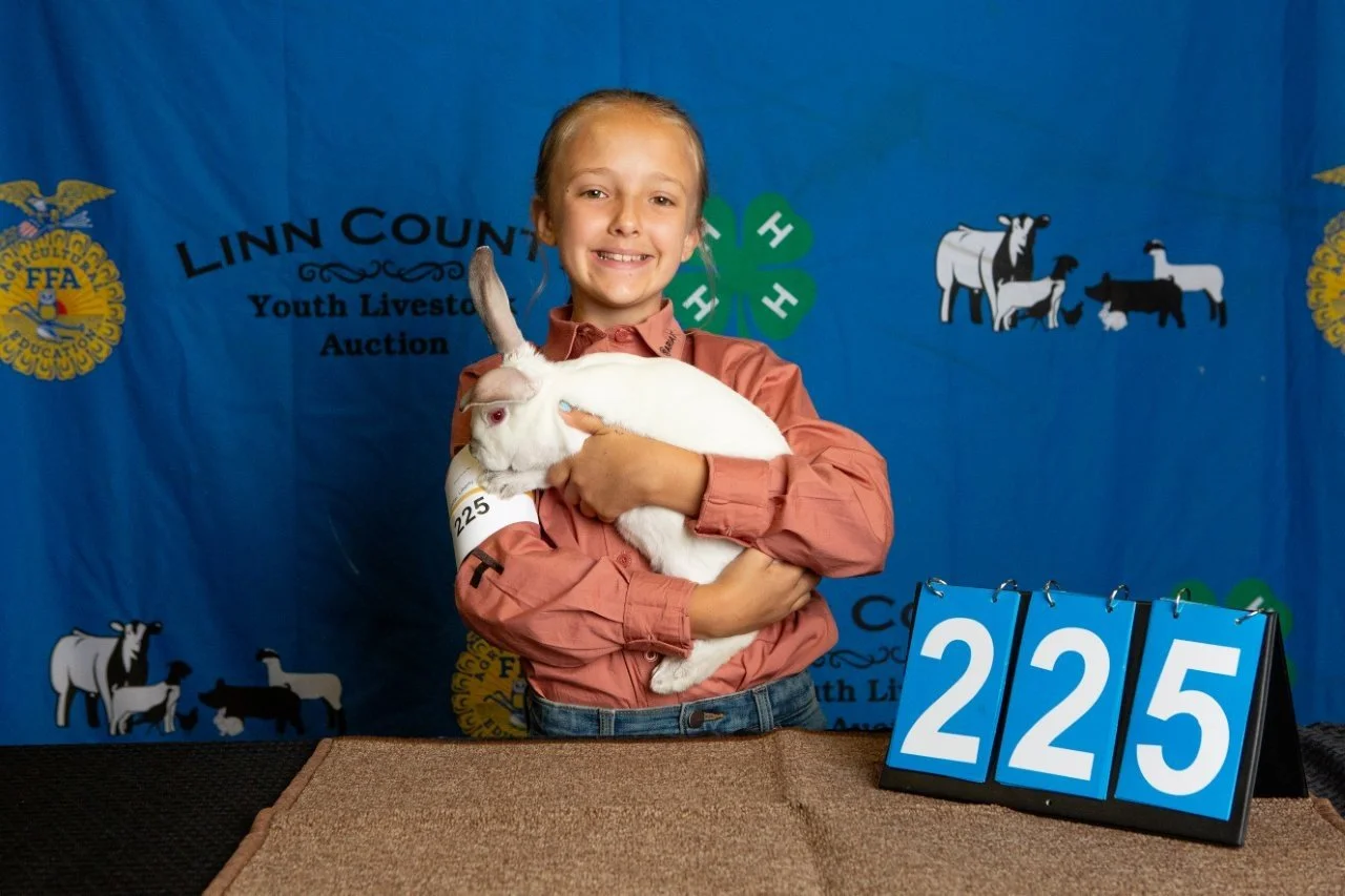 Rabbits-225.jpg