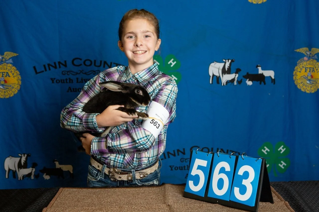 Rabbits-563.jpg