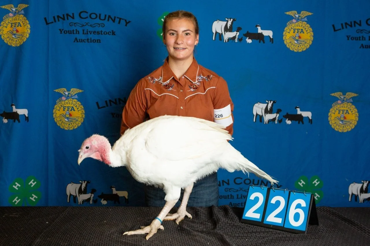 Turkey-226.jpg