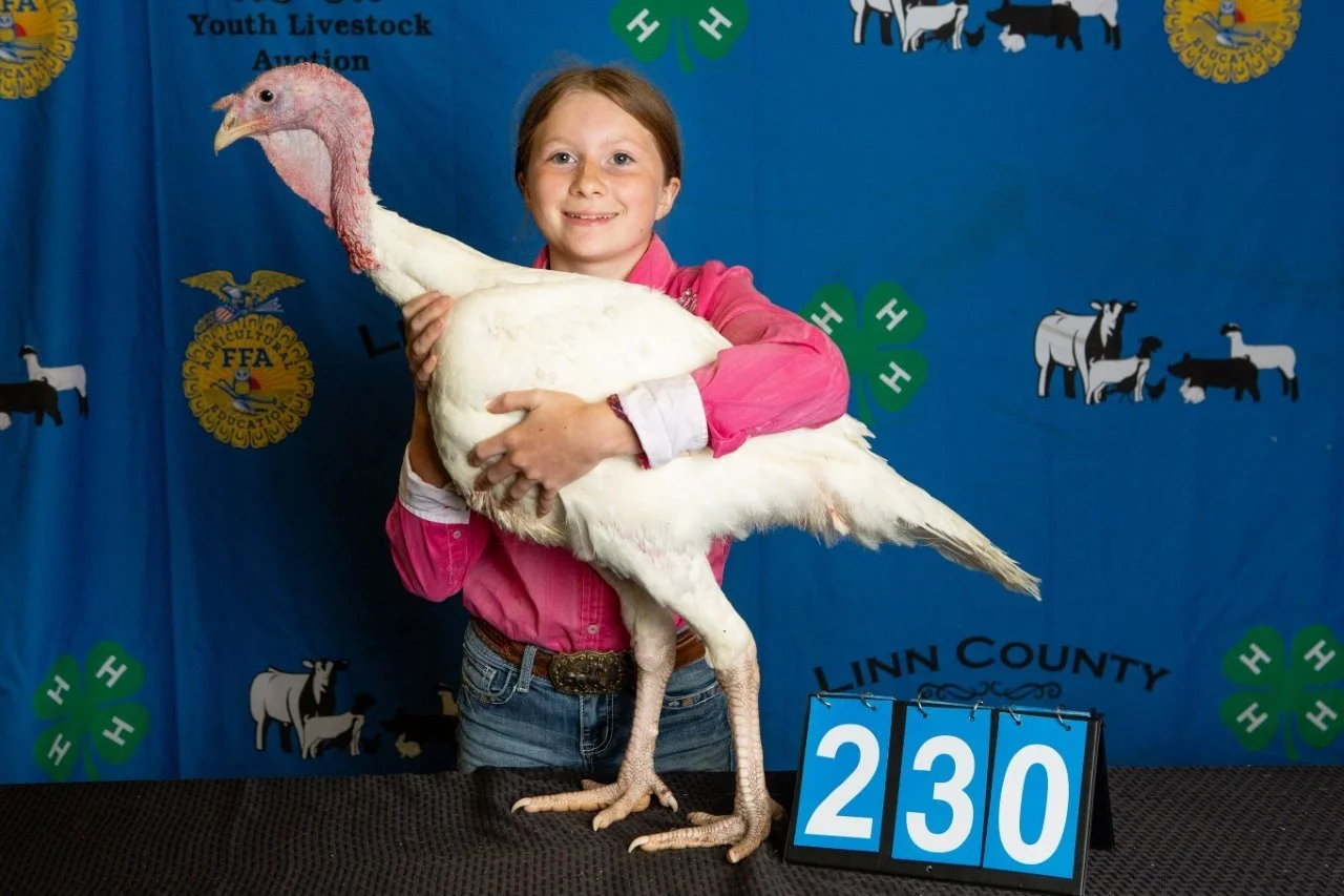 Turkey-230.jpg