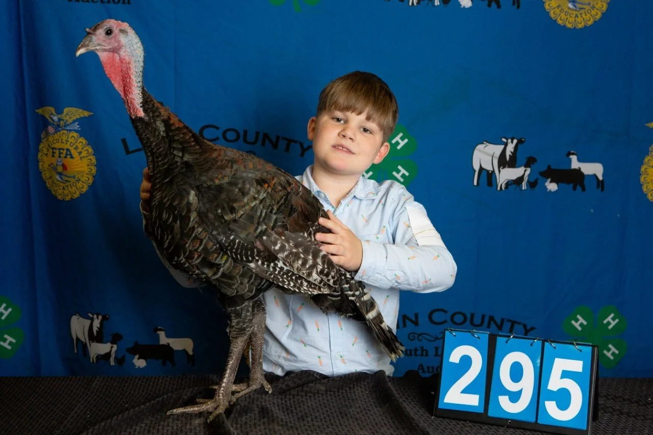 Turkey-295.jpg