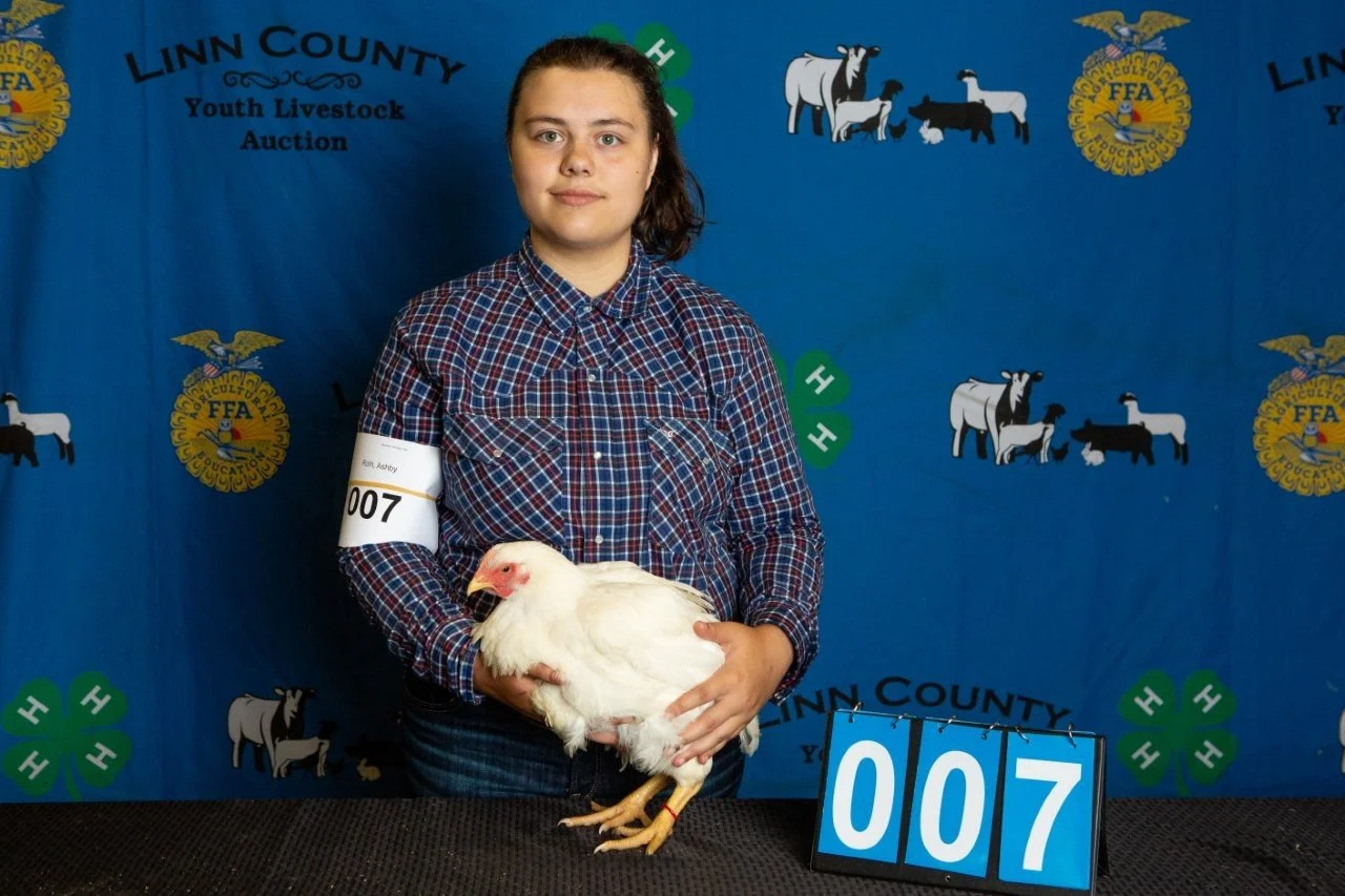 Chicken-007.jpg
