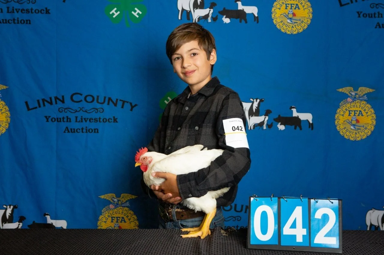 Chicken-042.jpg
