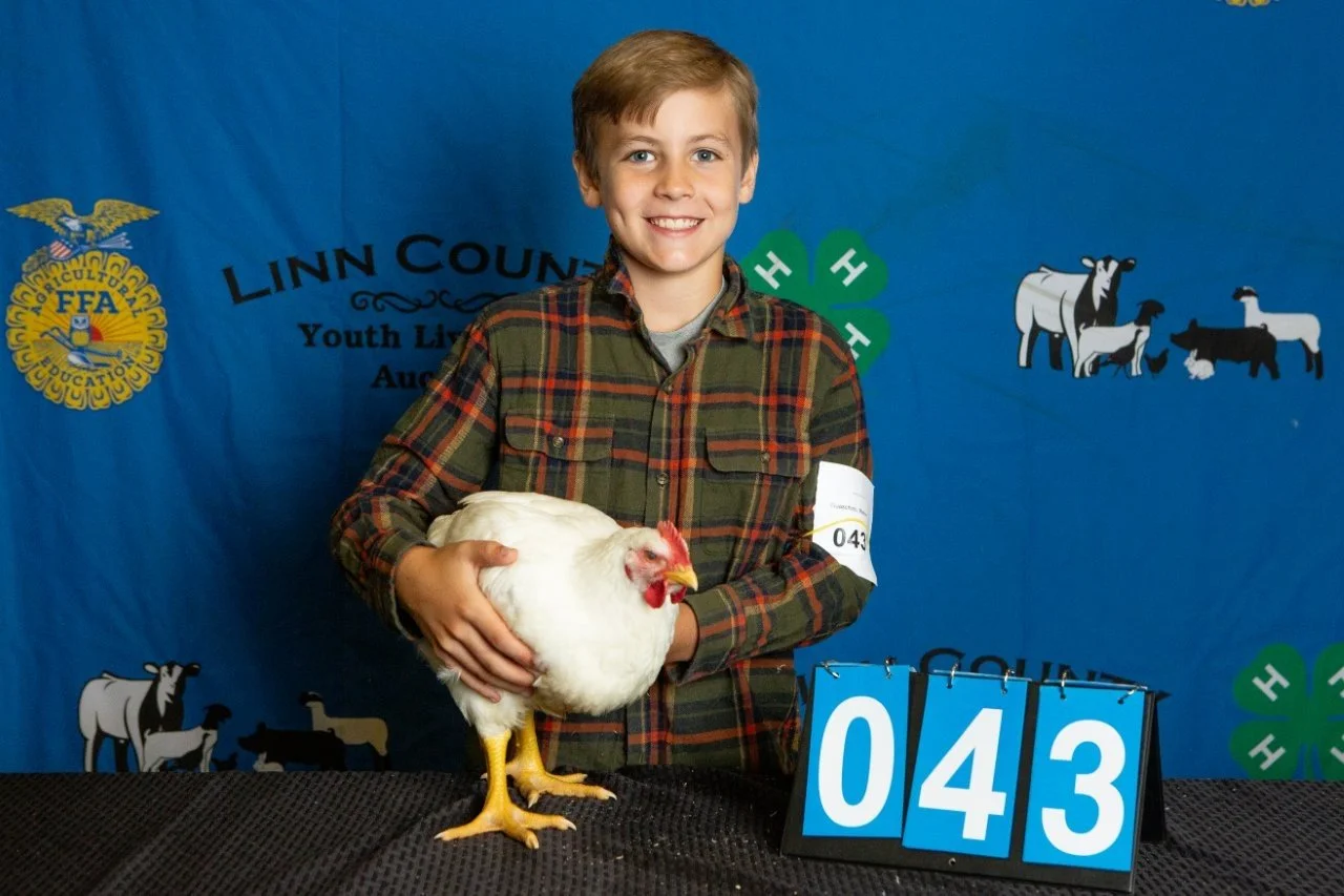 Chicken-043.jpg