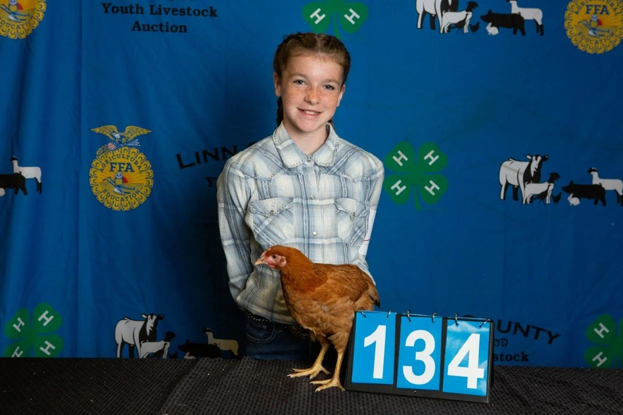 Chicken-134.jpg